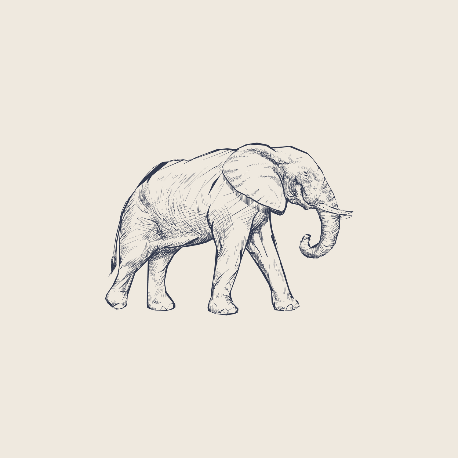 A hand-drawn pencil sketch of an African elephant walking, showing detailed line work on a beige background.