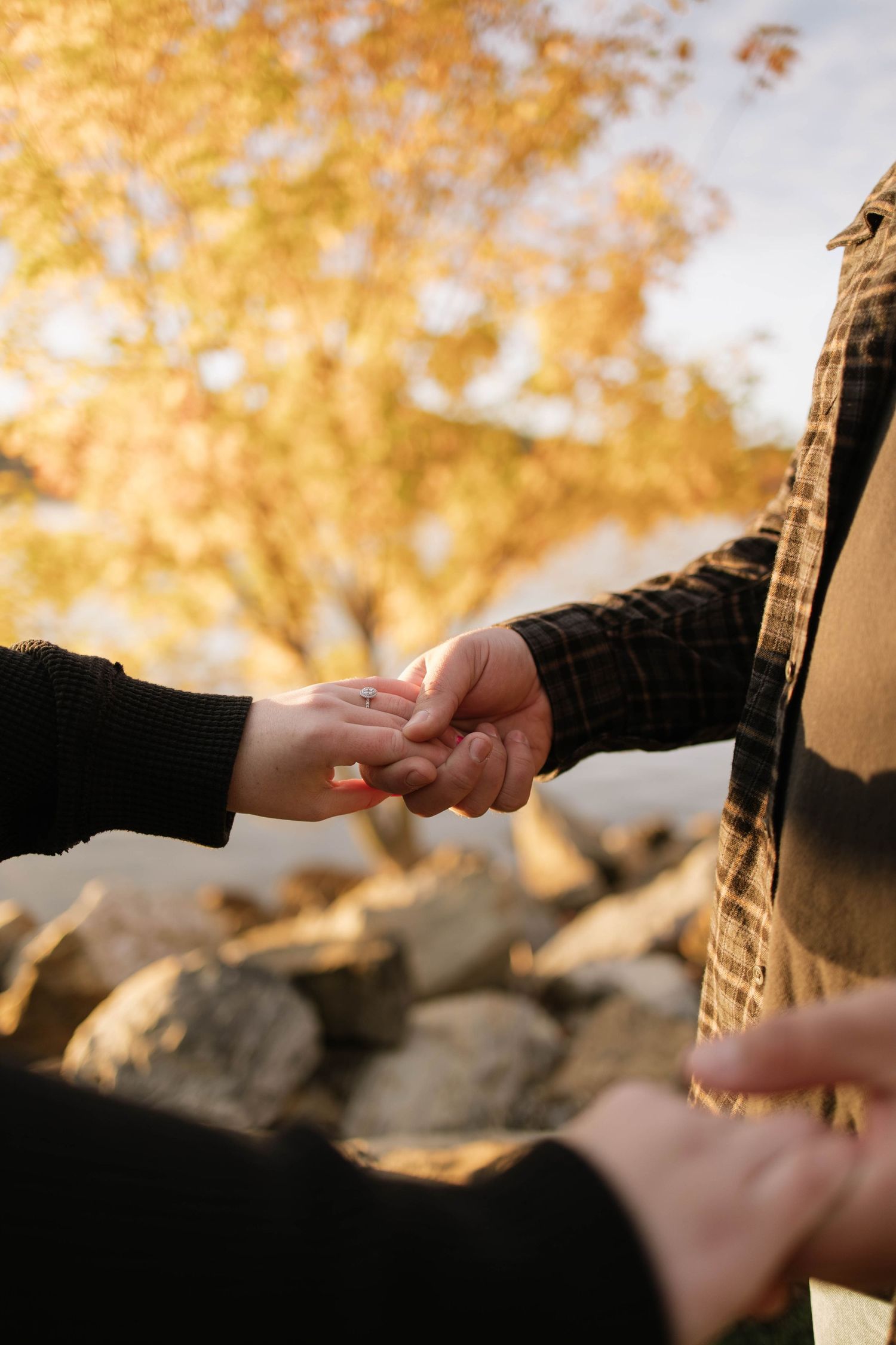 Hands intertwined against a backdrop of golden autumn trees and sunlight.