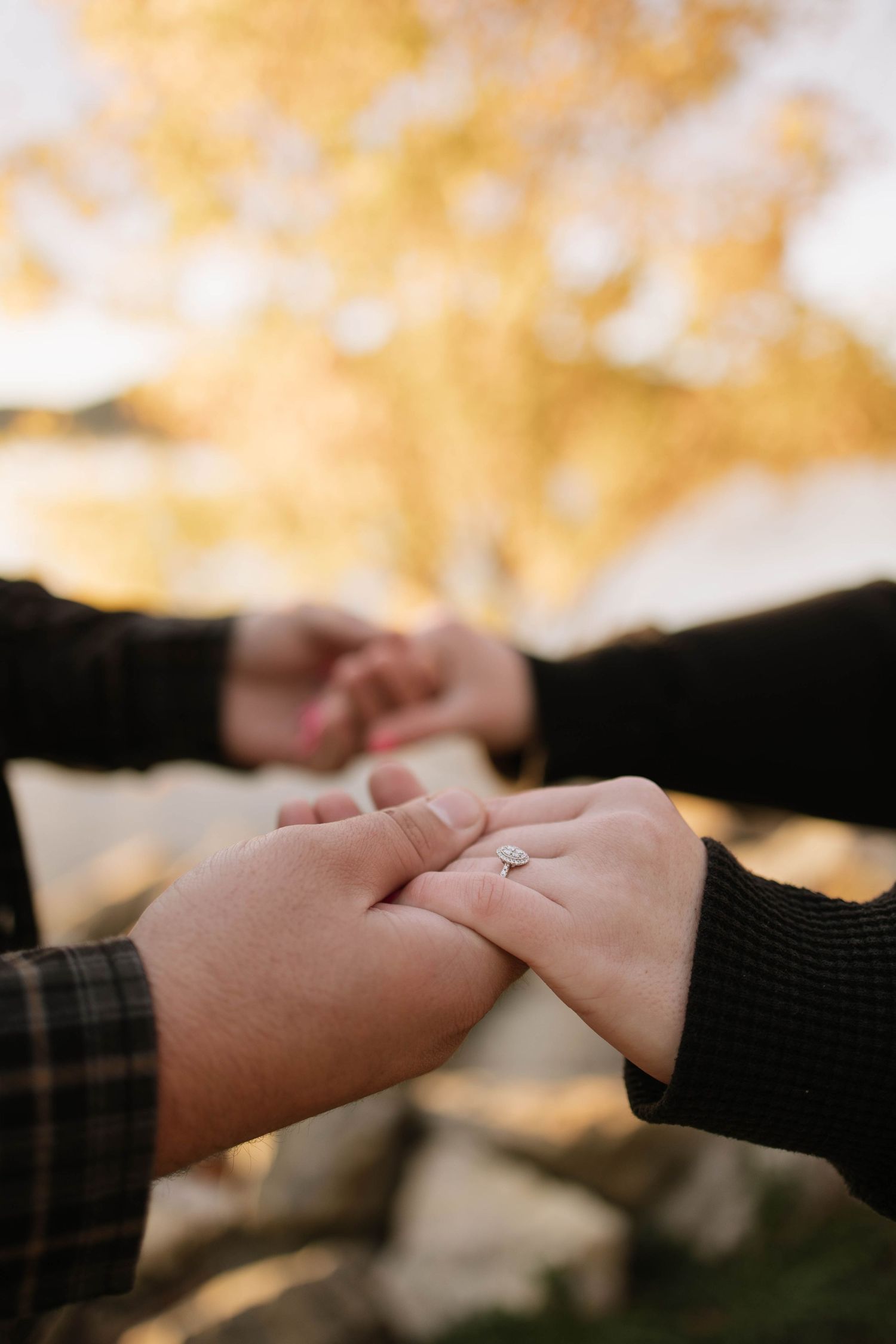 Close-up sequence of hands coming together with autumn colors in the background.