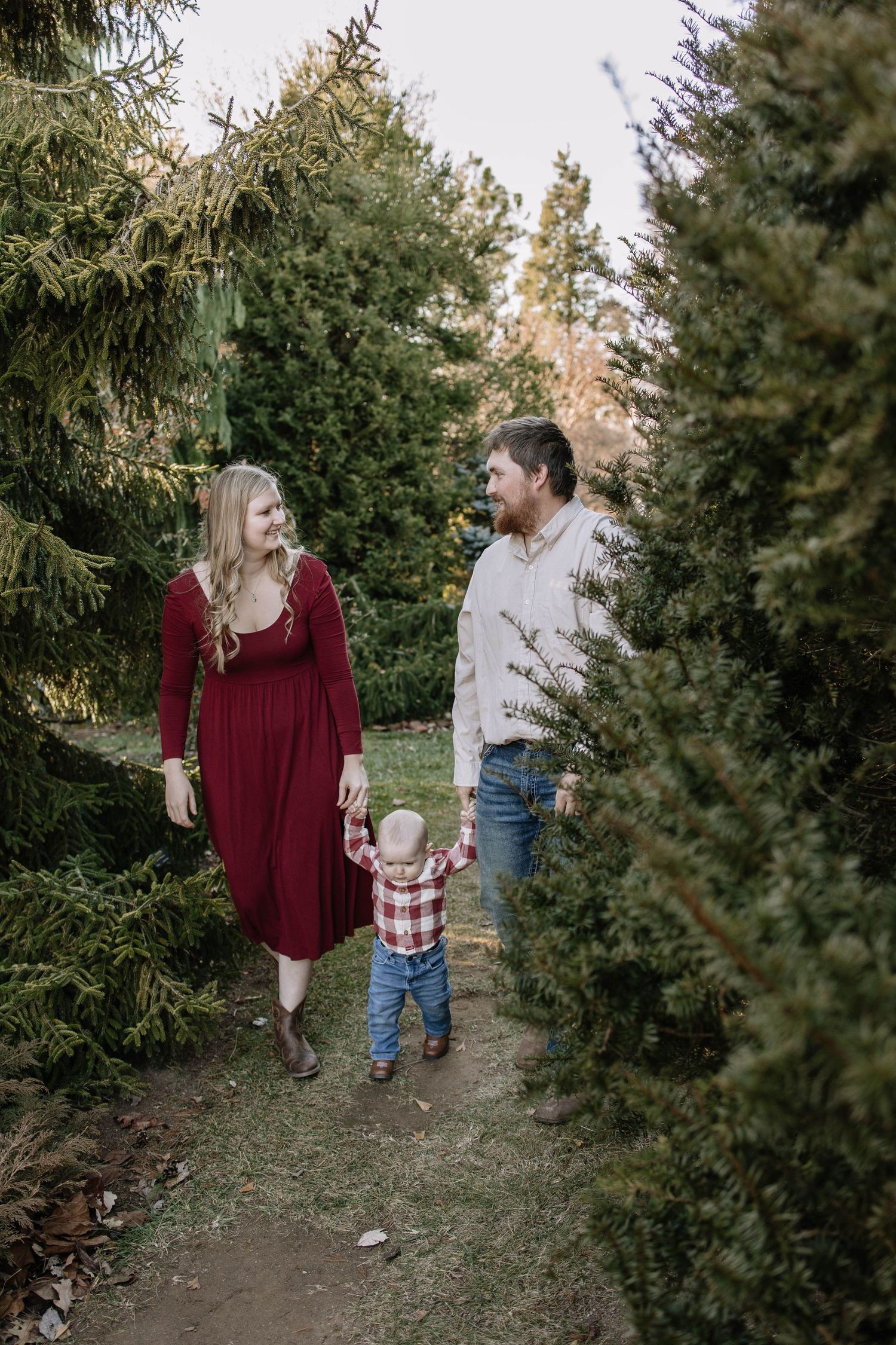 Family walking through rows of evergreen trees at a Christmas tree farm.