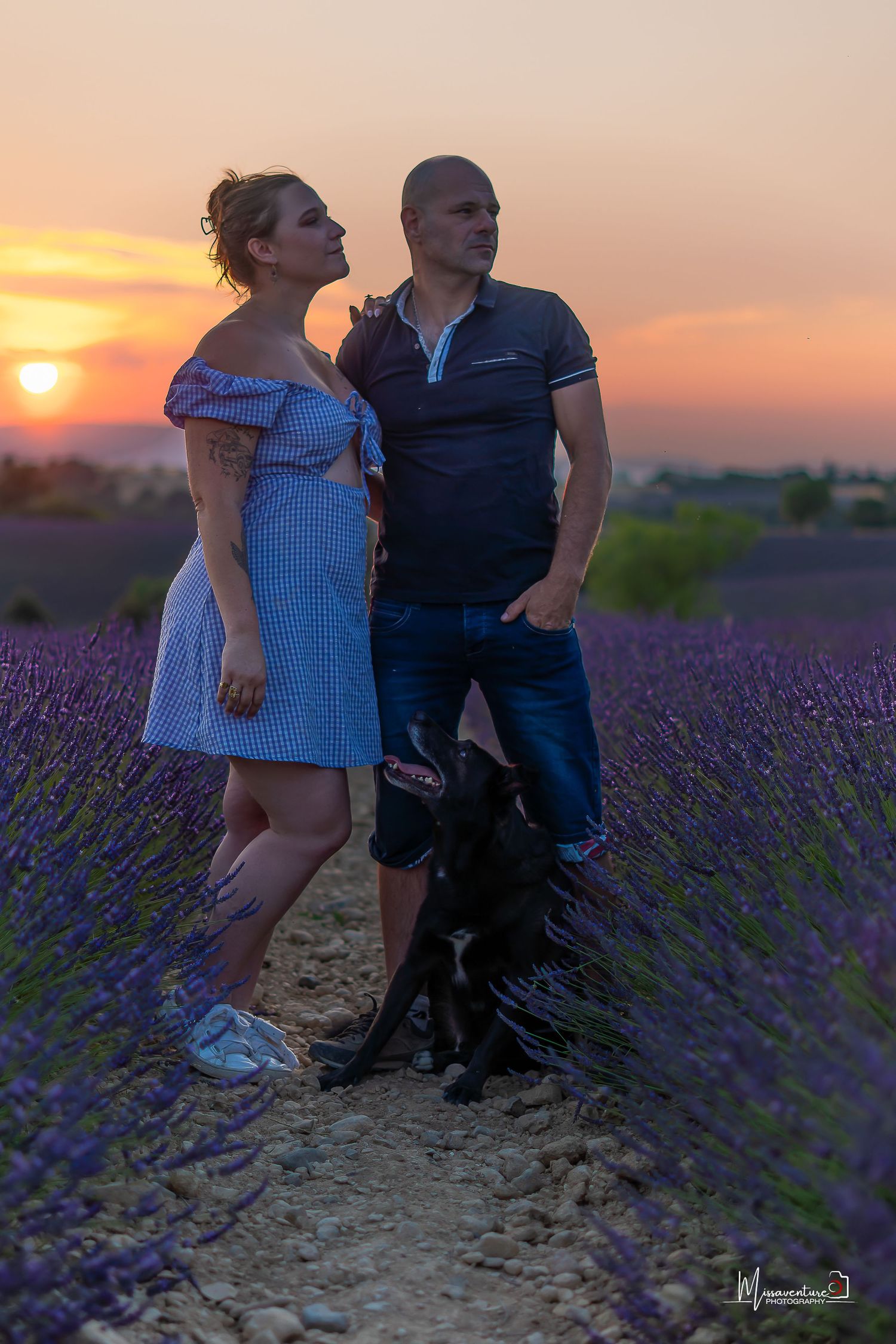 PHOTOGRAPHE CHIEN, CHAT & PORTRAIT dans le Var (83).
Malinois et ses maitres, au coucher de soleil dans les champs de lavande de Valensole