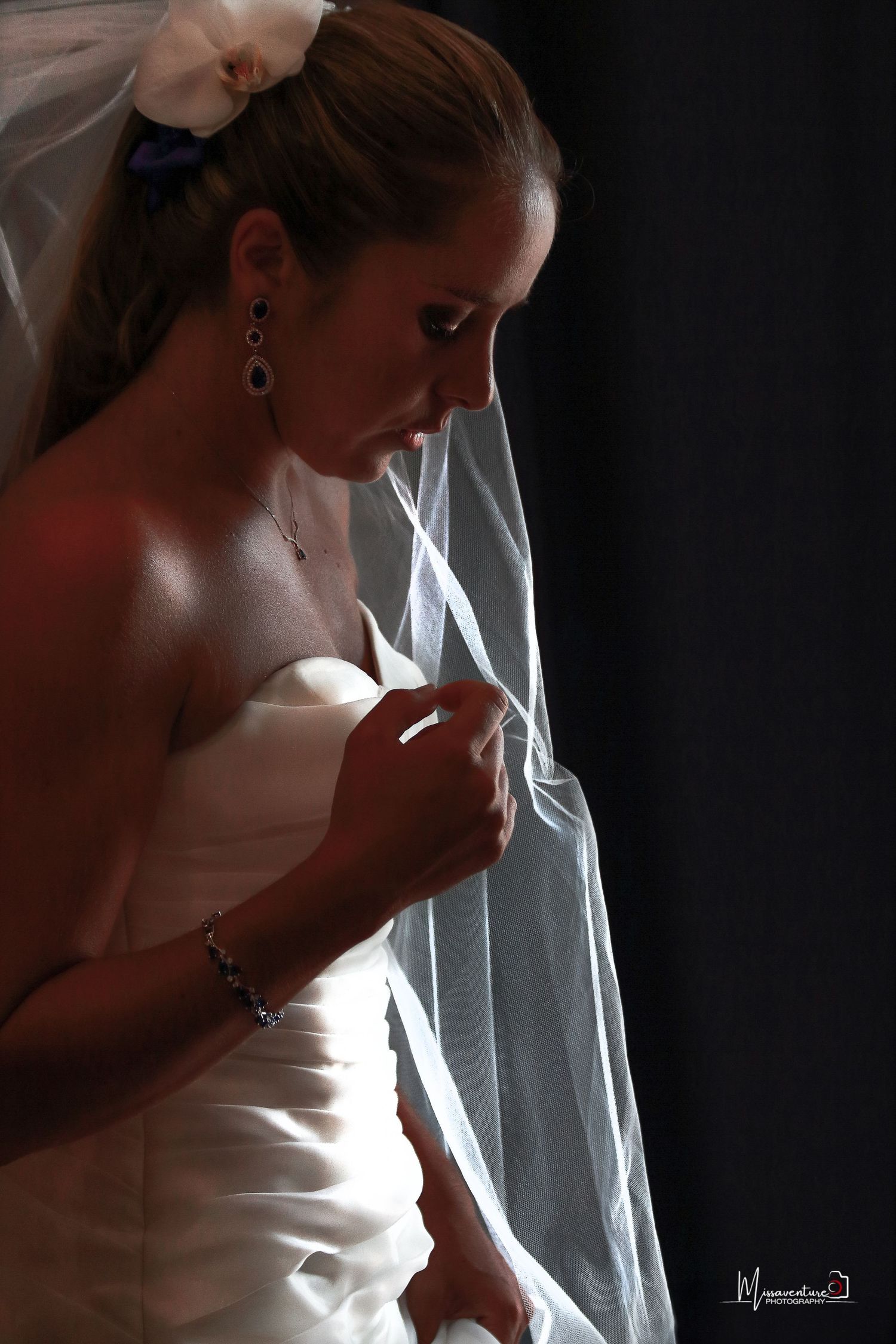 PHOTOGRAPHE CANIN, FÉLIN & PORTRAIT dans le Var (83).
Silhouette d'une future mariée