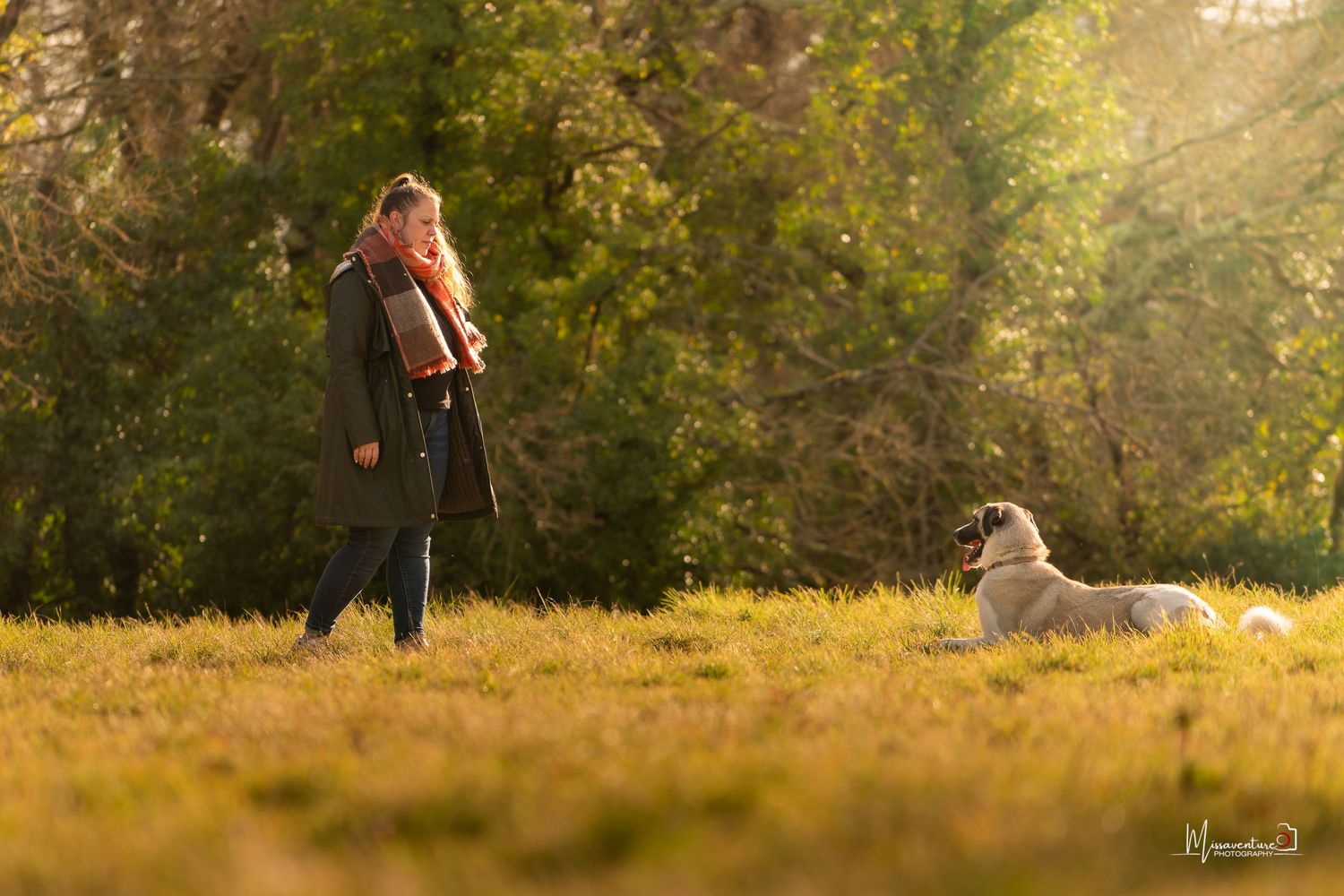 PHOTOGRAPHE CANIN & FÉLIN dans le Var (83).
Une femme debout dans la nature qui parle a son chien couché avec une lumière dorée
