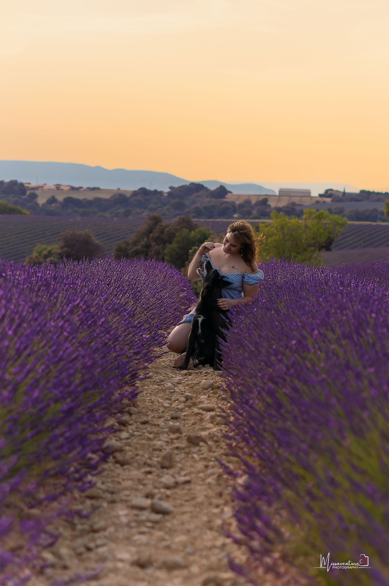 PHOTOGRAPHE CHIEN, CHAT & PORTRAIT dans le Var (83).
Malinois et sa maitresse, au coucher de soleil dans les champs de lavande de Valensole