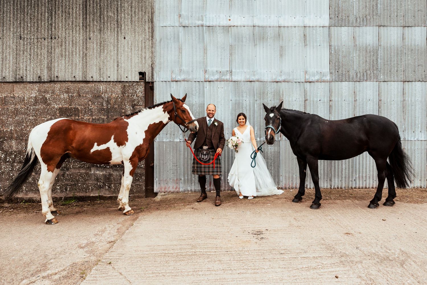 A rustic barn wedding portrait with a paint horse and black horse standing beside a couple in wedding attire.