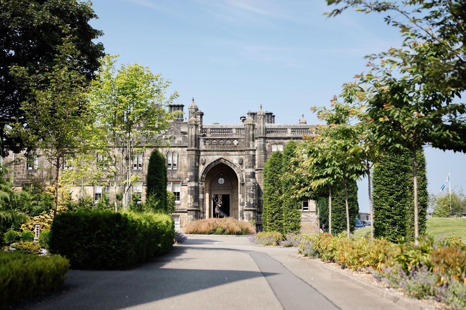 Historic stone castle entrance with lush green trees and manicured gardens lining a paved pathway on a sunny day.