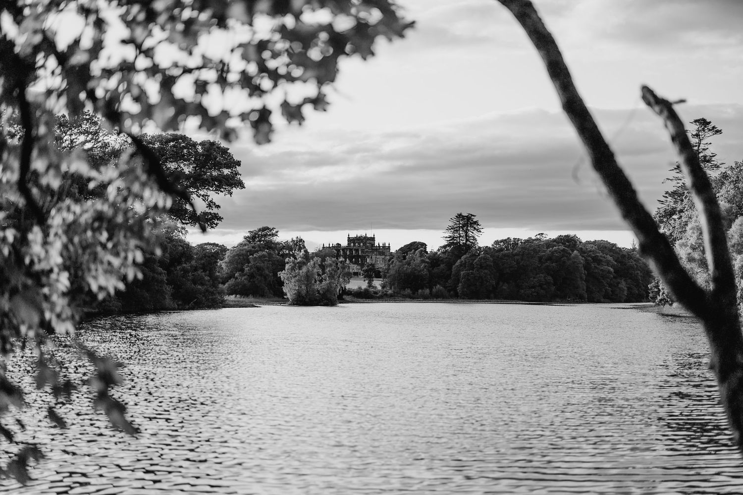 A serene black and white panoramic view of a lake surrounded by trees with reflections on the calm water surface.