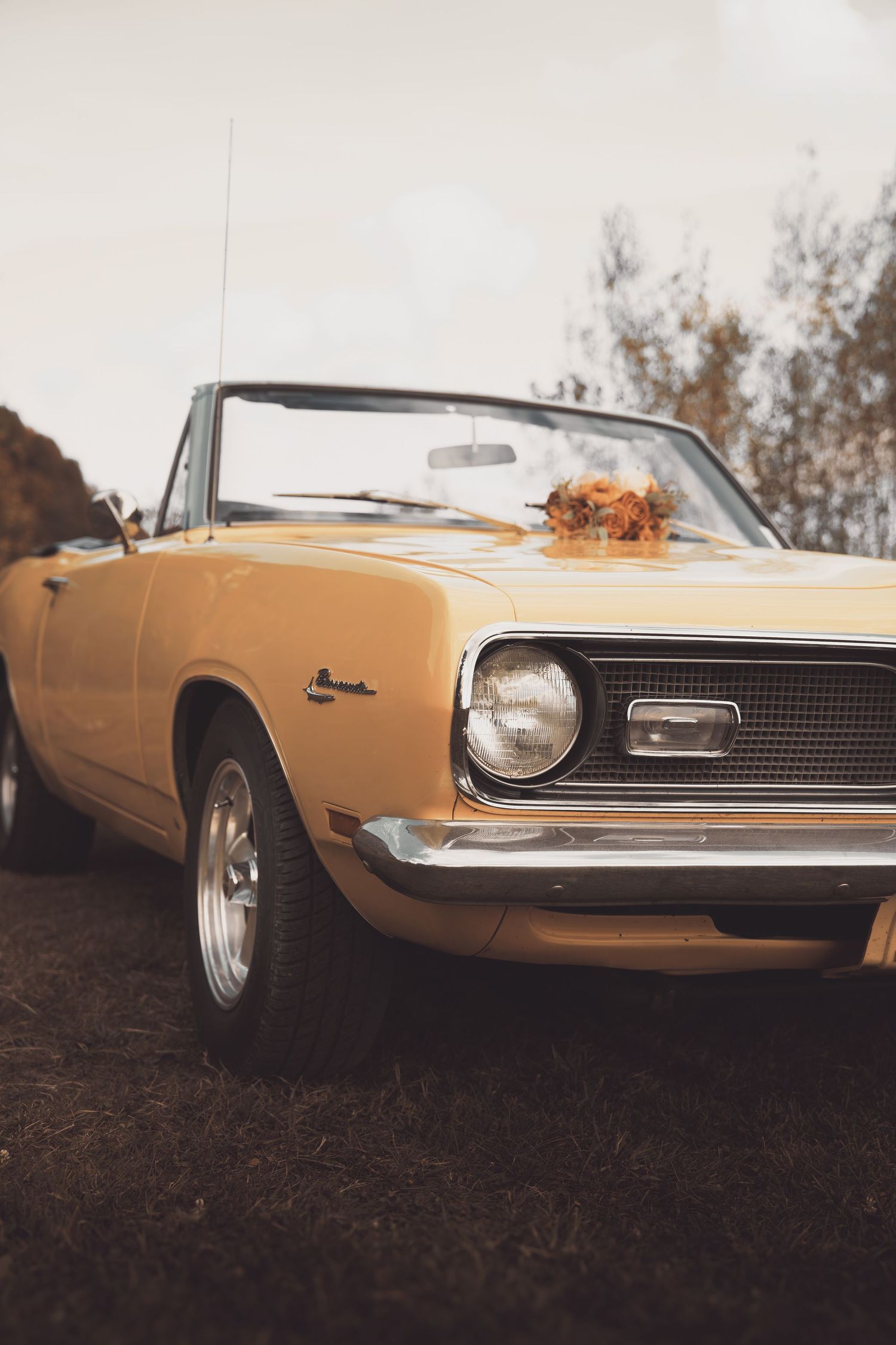 Classic yellow Plymouth Barracuda convertible muscle car parked outdoors with autumn leaves on the windshield.