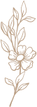 A delicate gold botanical line drawing features an elegant floral stem with leaves in metallic tone against black background.
