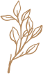Simple botanical illustration of a minimalist golden branch with delicate leaves in an elegant design.