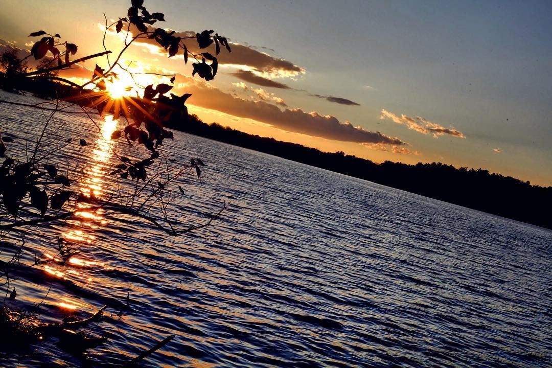Serene lake sunset with silhouetted branches in foreground and golden sunlight reflecting on blue water.