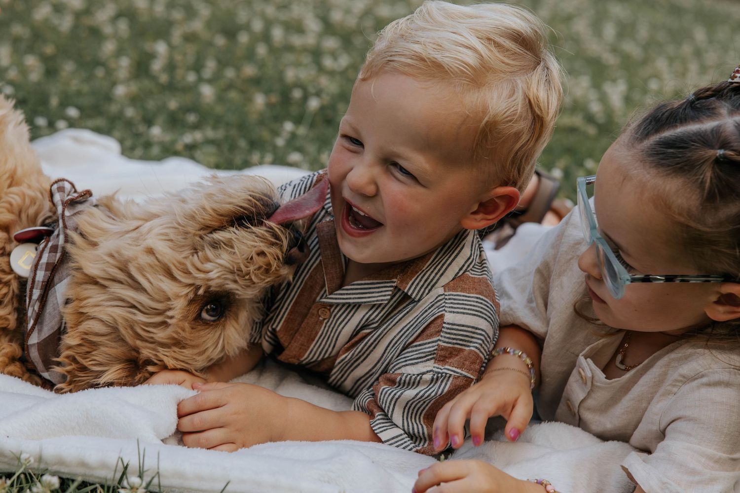 A series of five connected photos showing joyful interactions between a golden retriever dog and children playing together.