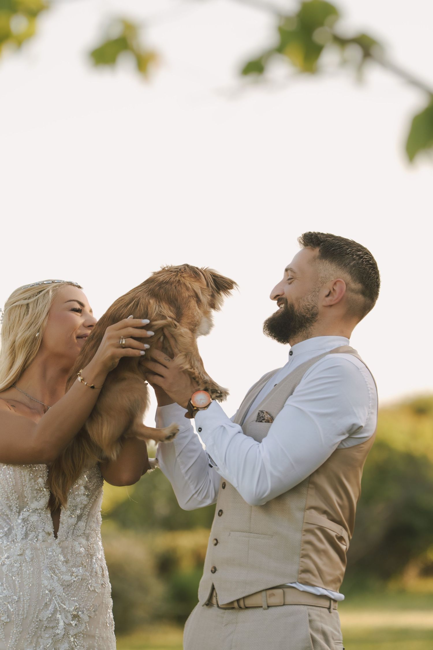 Couple in wedding attire plays with their dog outdoors.