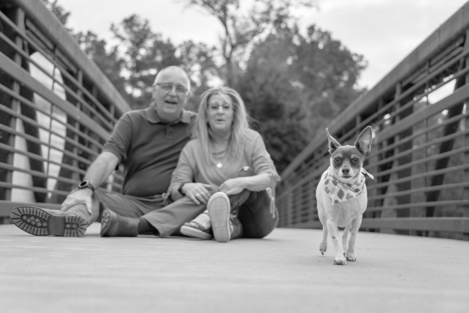Black and white photo of a couple sitting on a bridge with their small dog, surrounded by trees.