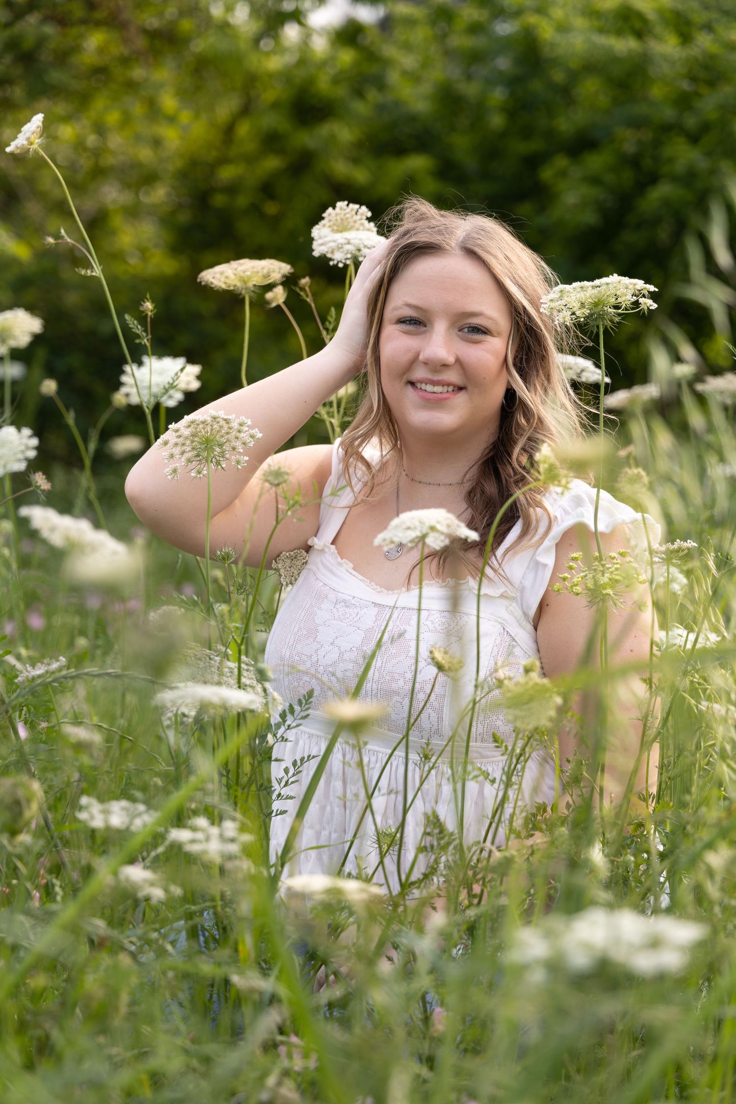 A beautiful wildflower meadow with Queen Anne's Lace and native flowers in bloom during a sunny summer day.