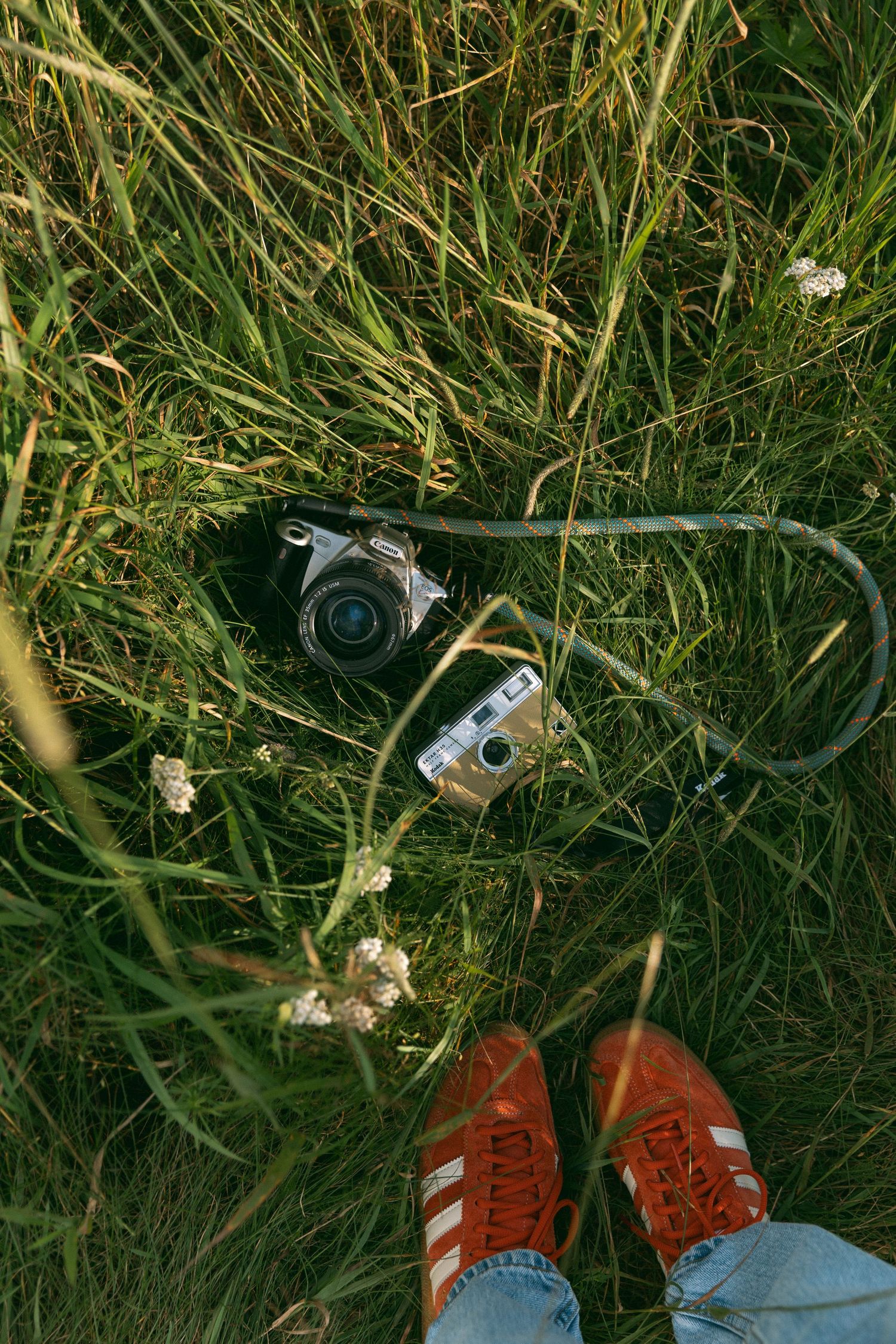 Two vintage film cameras and orange Adidas sneakers laying in tall grass with small white wildflowers.