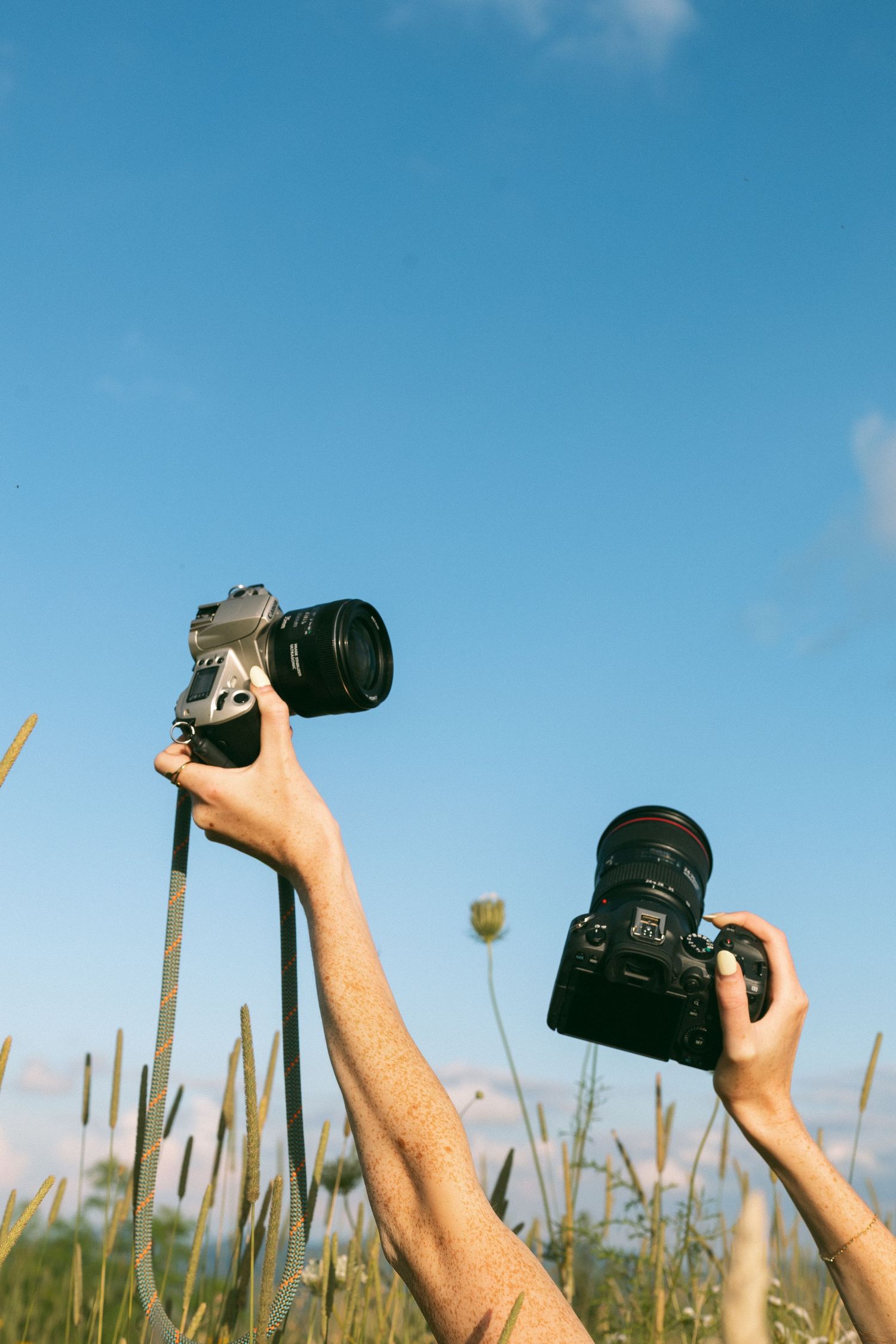 Hands raise digital cameras against a bright blue sky and wild grass, capturing outdoor photography moments.