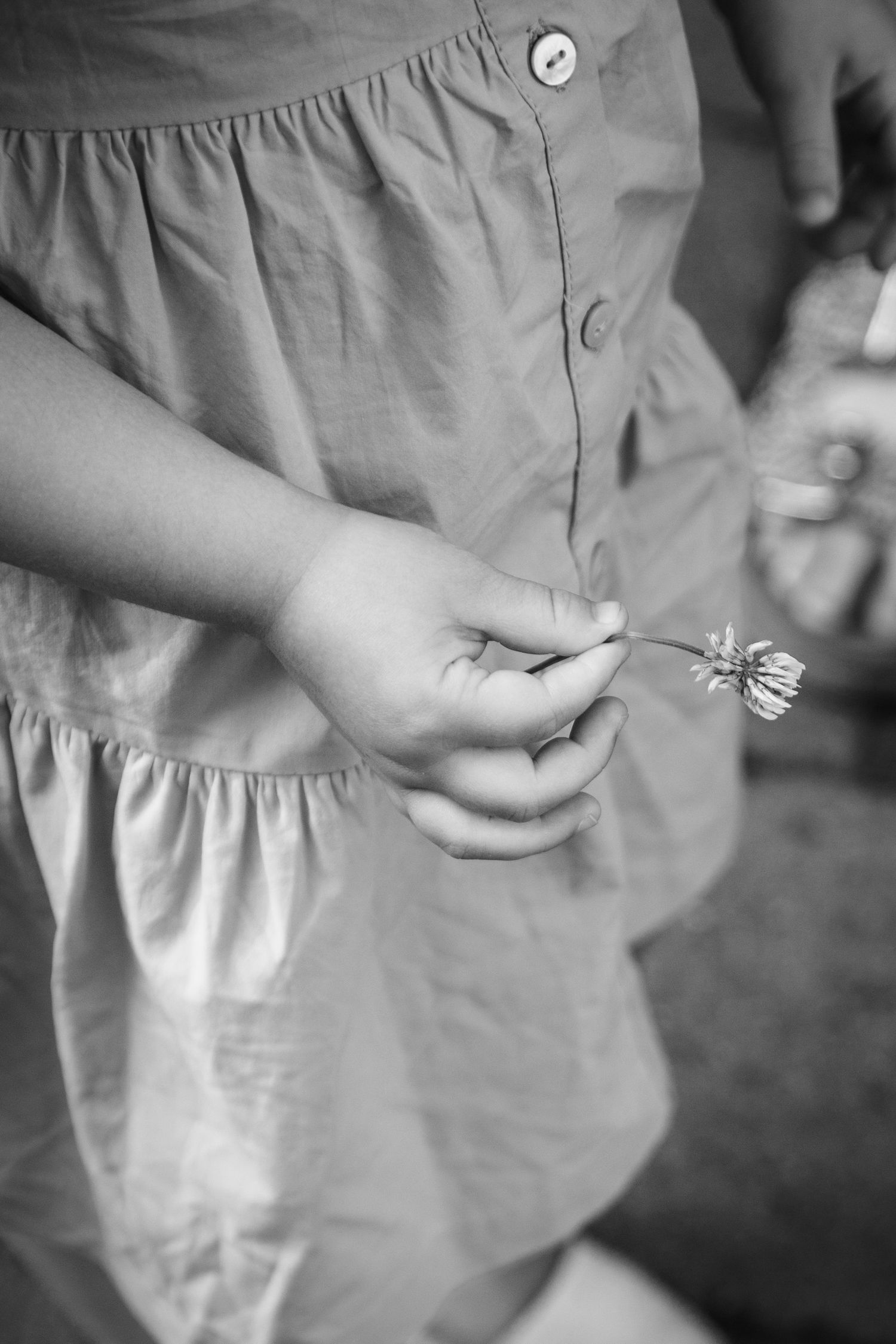 Small hands gently hold a delicate white flower against a light colored dress in black and white.