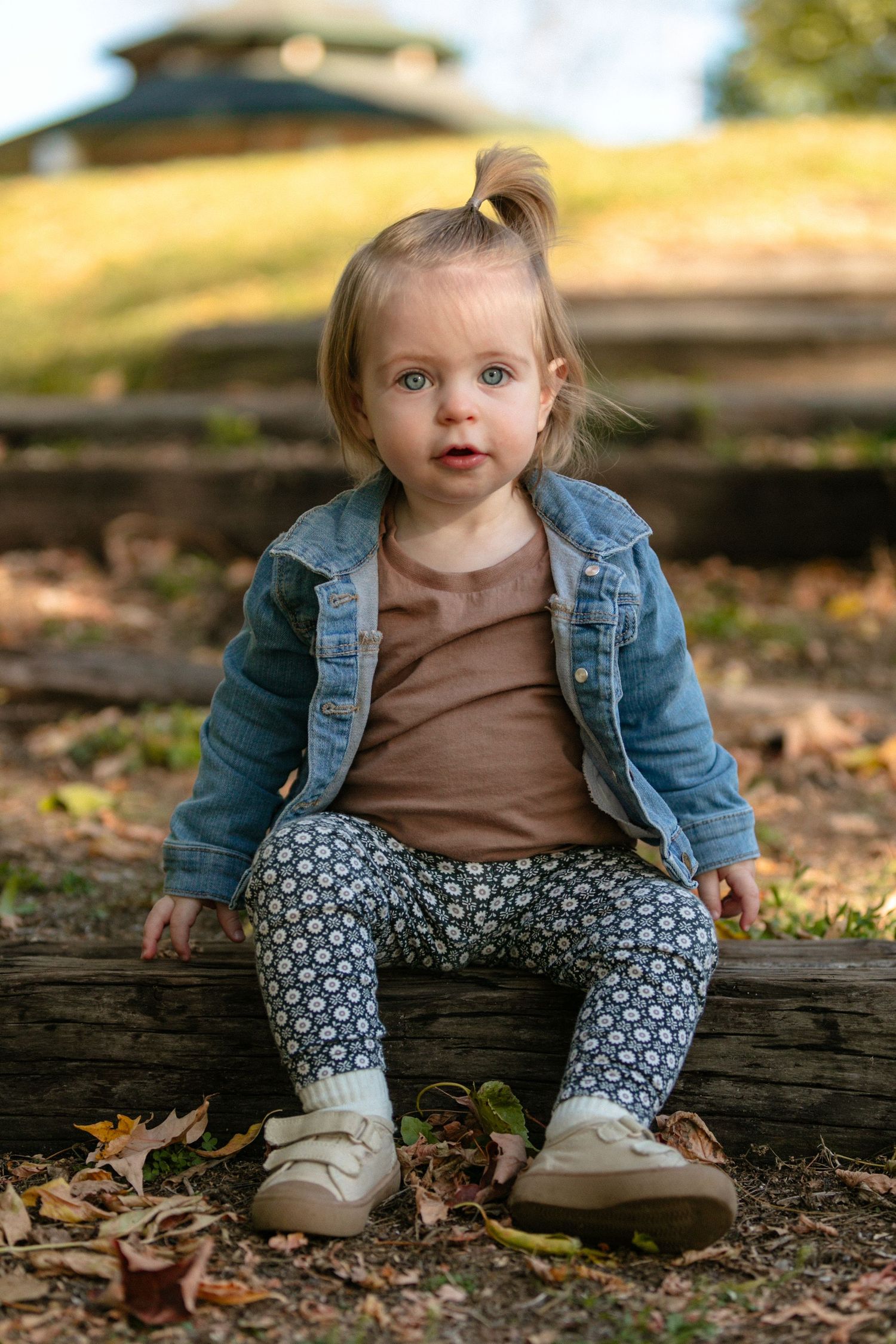Small child wearing brown shirt and denim jacket sits on fallen log surrounded by autumn leaves.