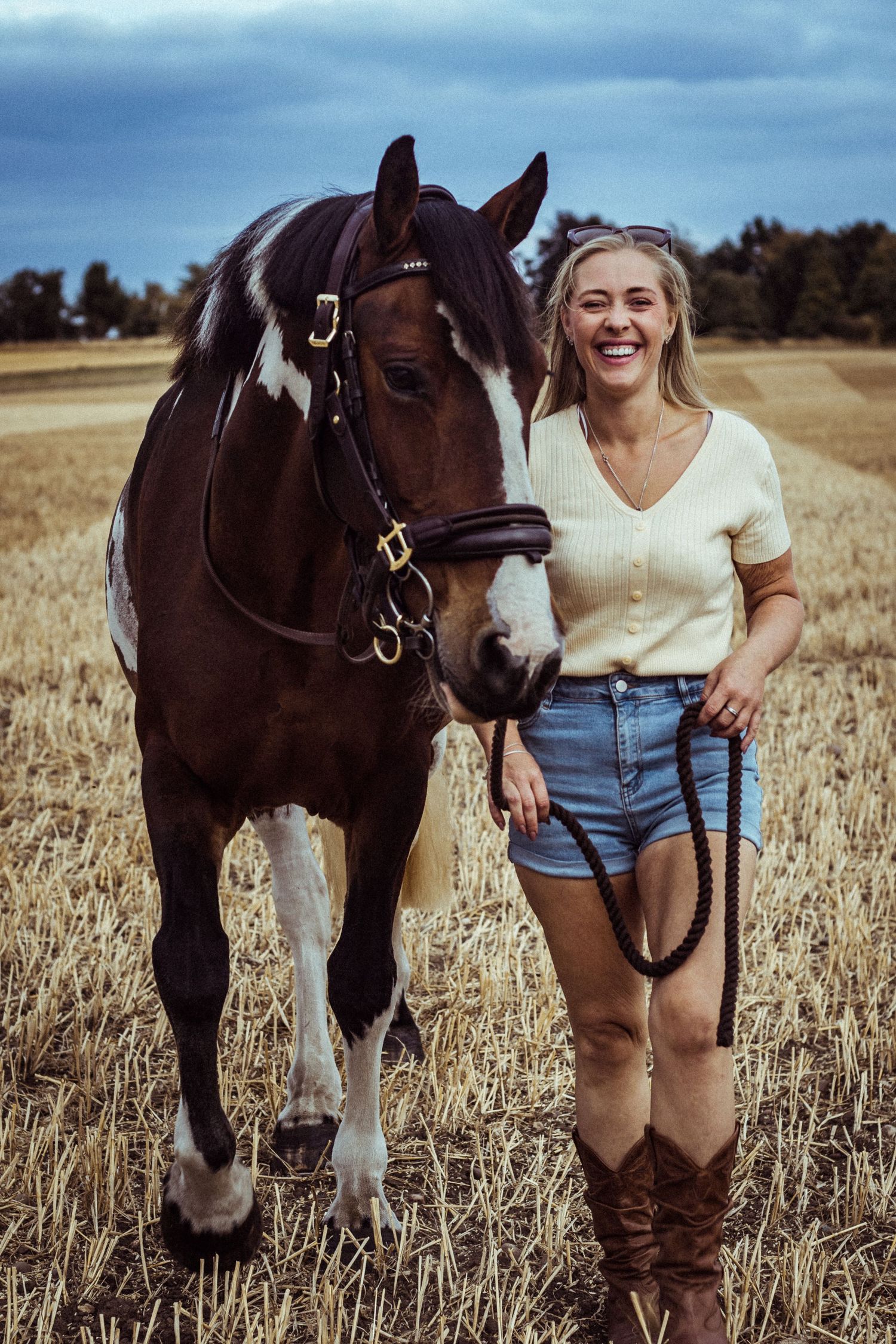horse portrait