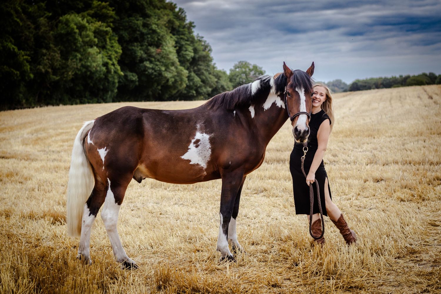horse