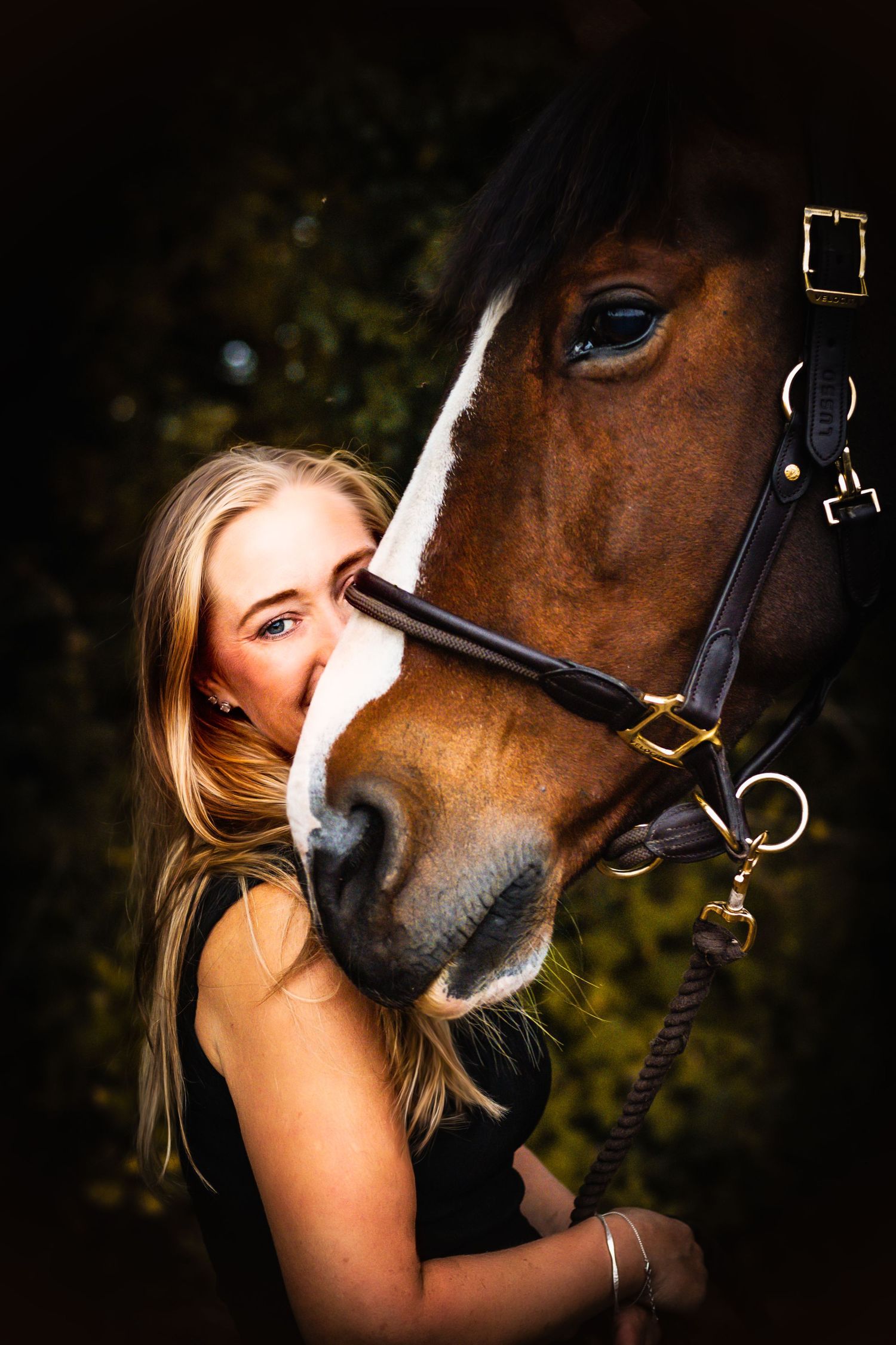 horse portrait