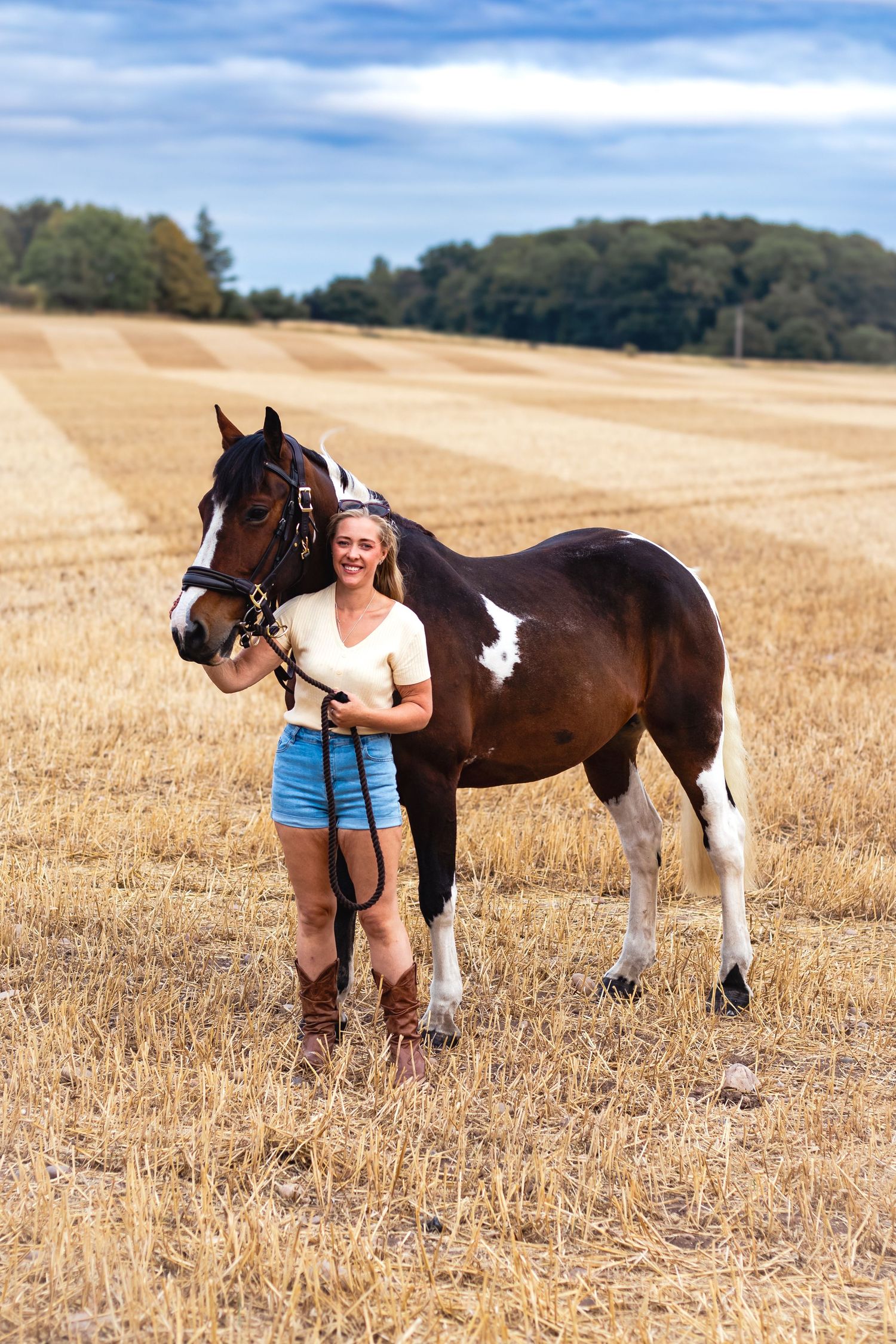 horse