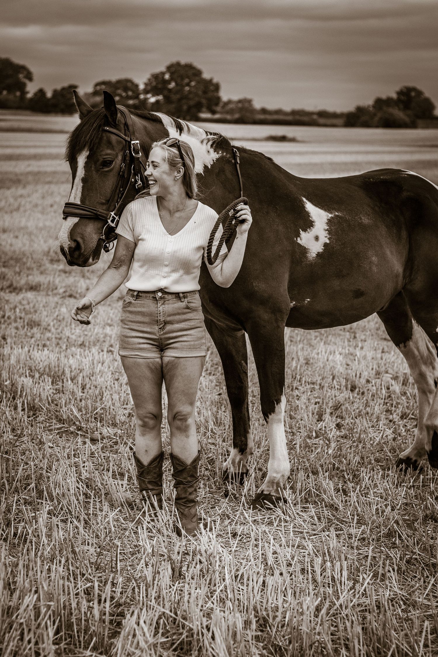 horse portrait