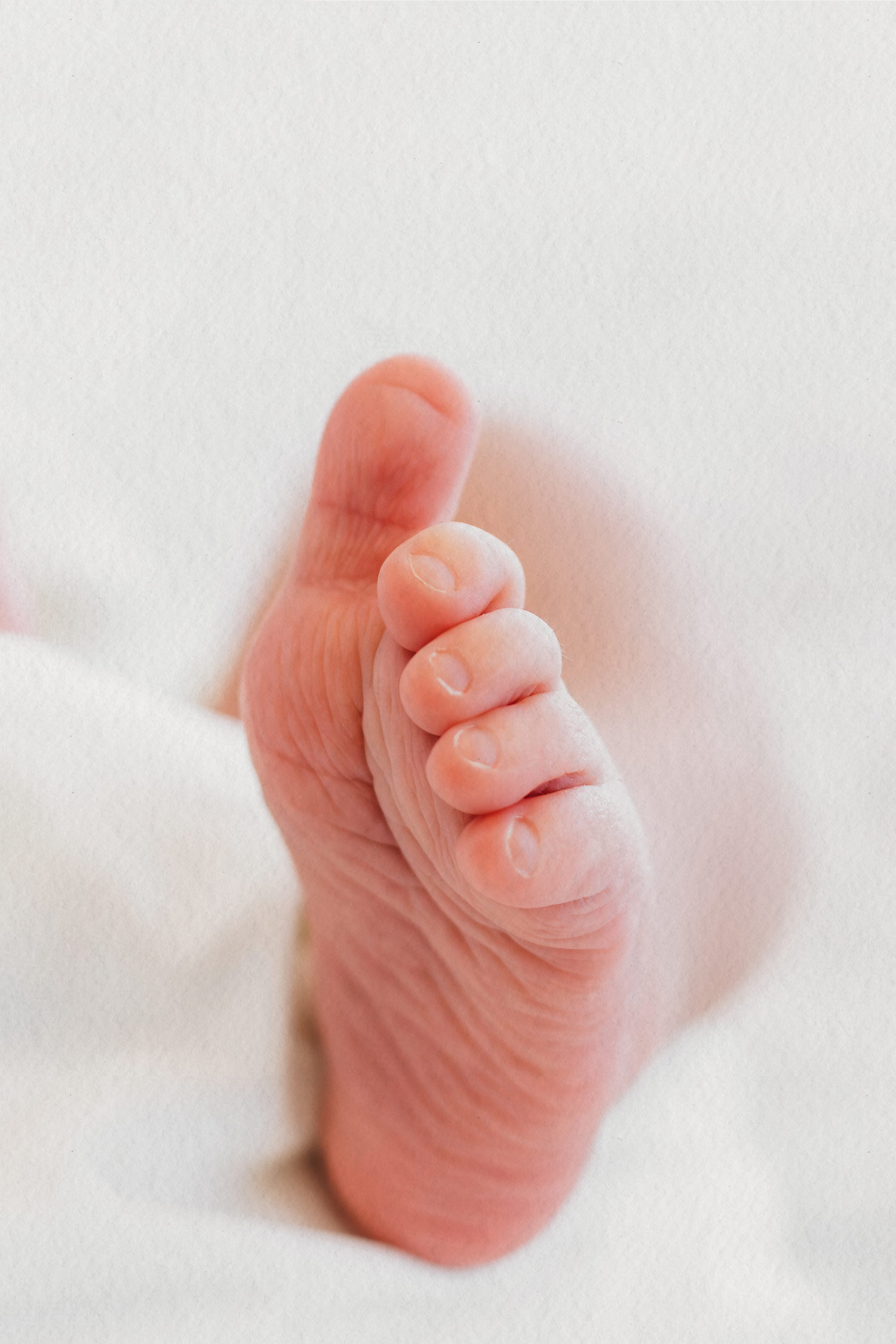 Detail of a newborn baby's foot captured by Dounia Raphael Photography in Lebanon