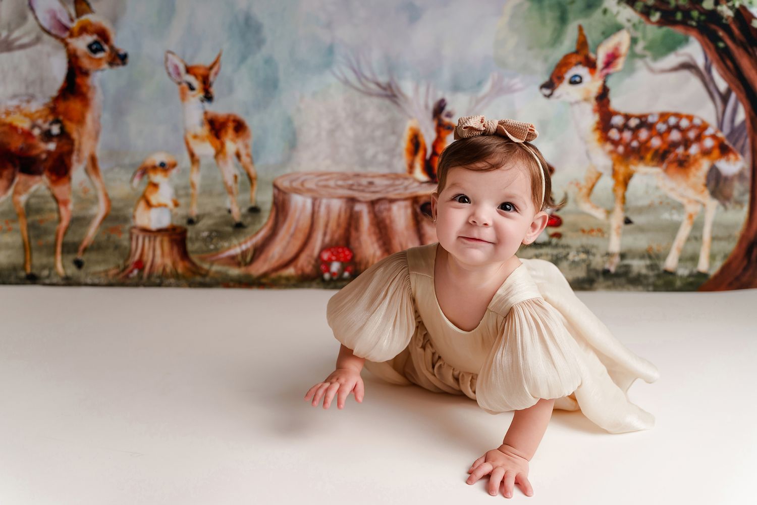 Woodland animals themed studio 1st Birthday Session for a client from Lexington South Carolina.