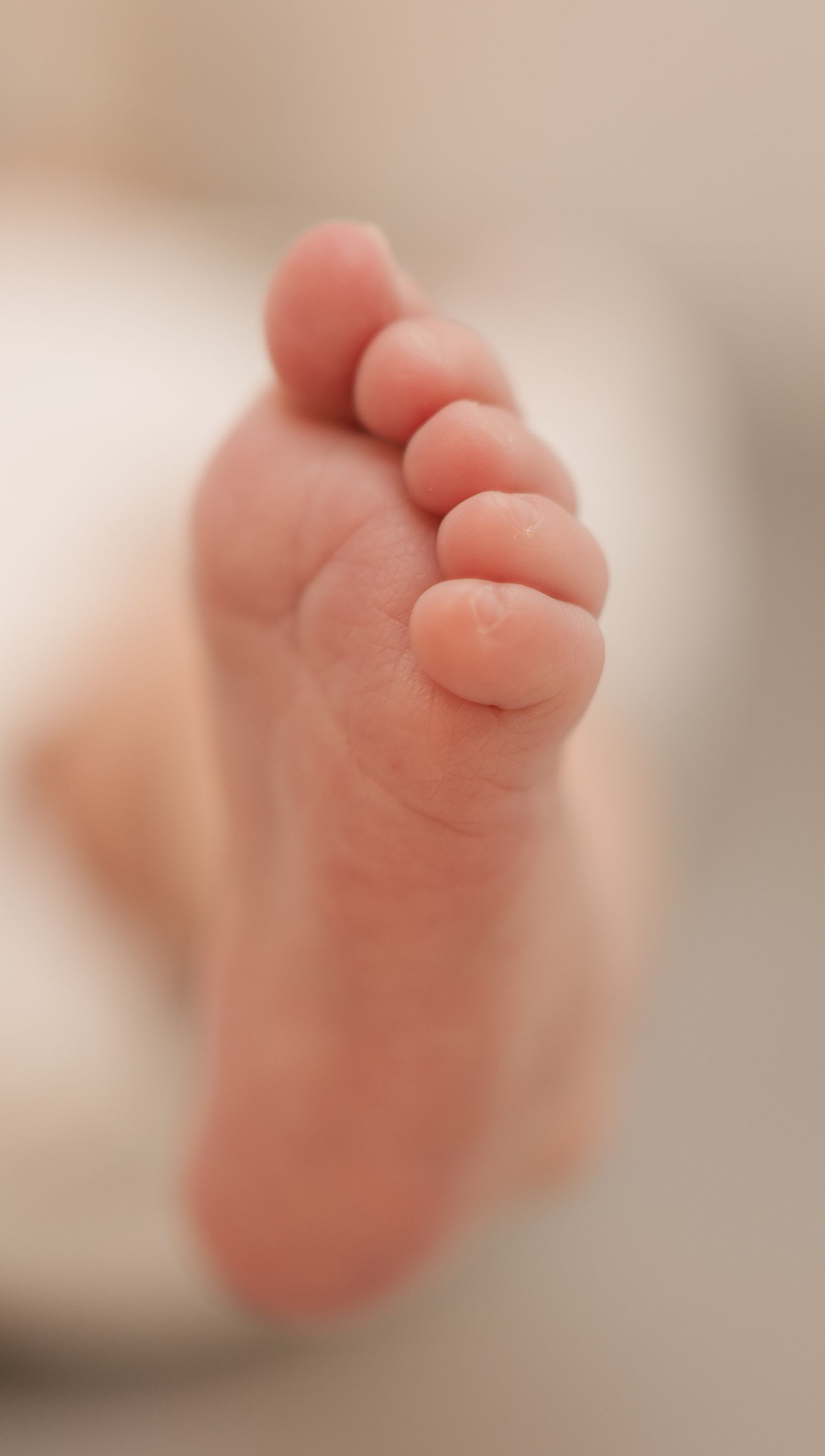 Brisbane newborn photographer — adorable close-up of tiny newborn toes and feet, delicate detail shot from in-home session by Joy Filled Pho
