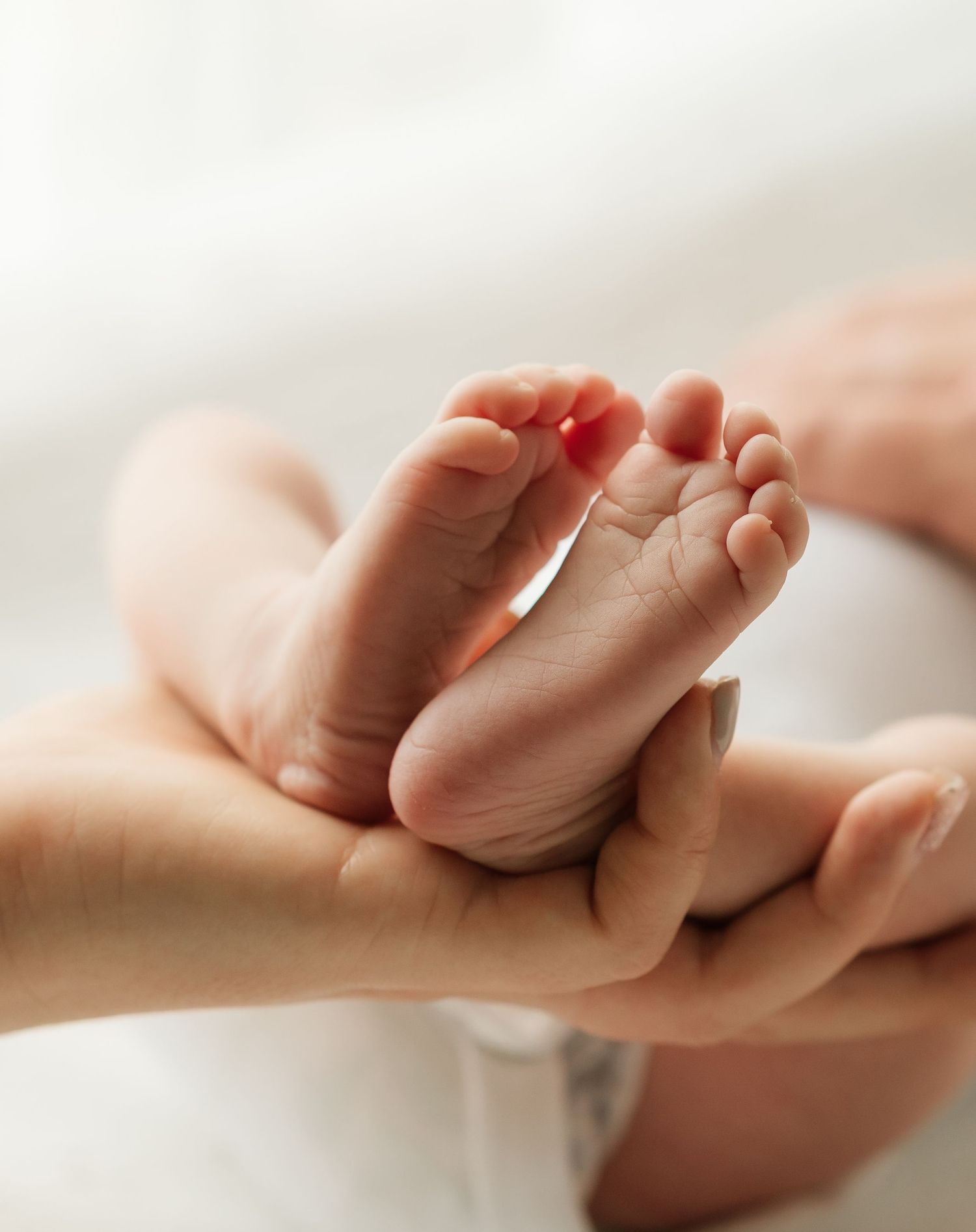 Brisbane newborn photographer — newborn baby feet and toes resting in parent's gentle hands, warm and tender detail shot by Joy Filled Photo