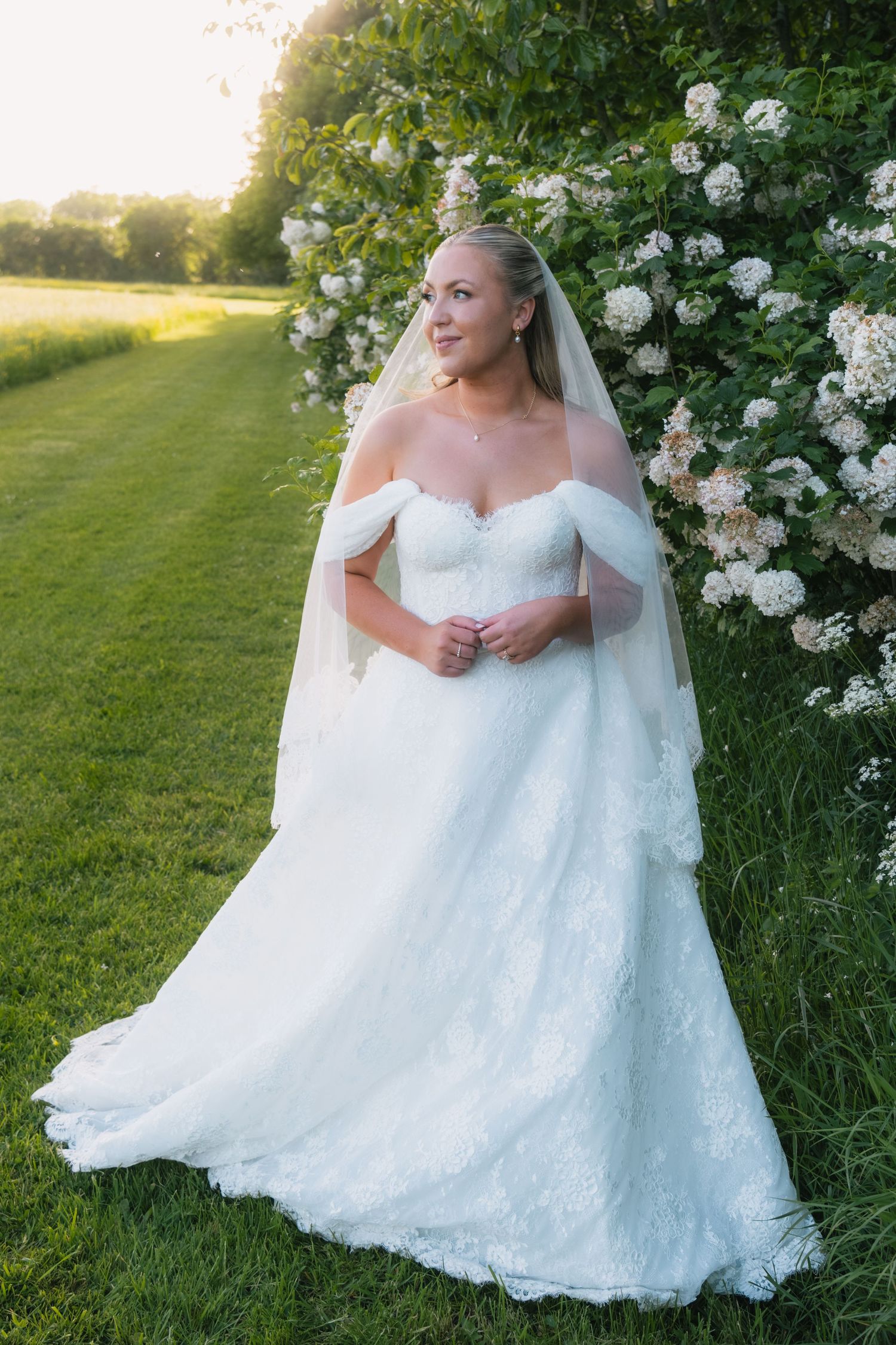 Bride in off-shoulder lace gown and veil poses by white blooming bushes on green lawn at golden hour.