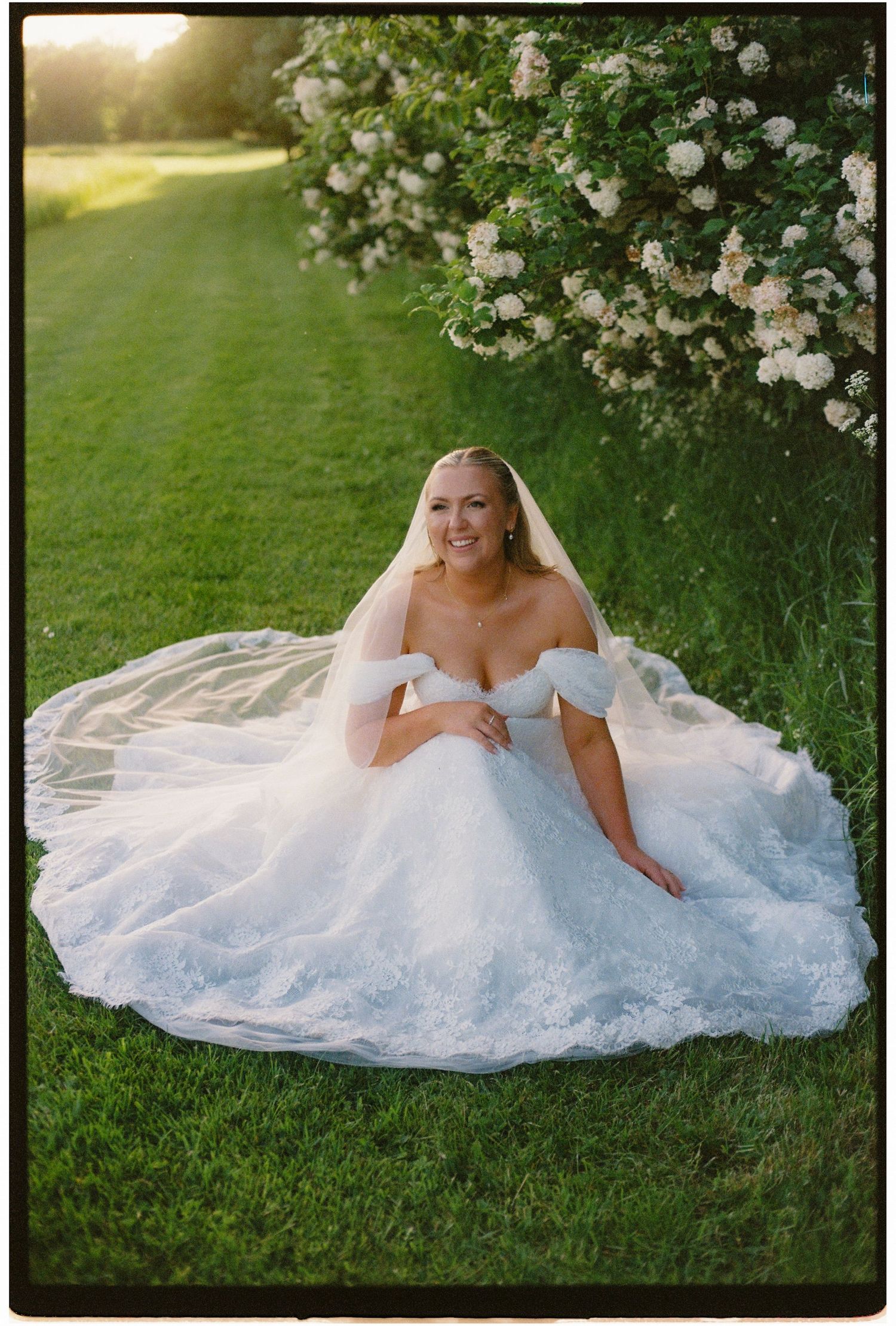 Bride in off-shoulder ball gown and veil sits on lush green grass beside blooming white flowers in golden hour light.