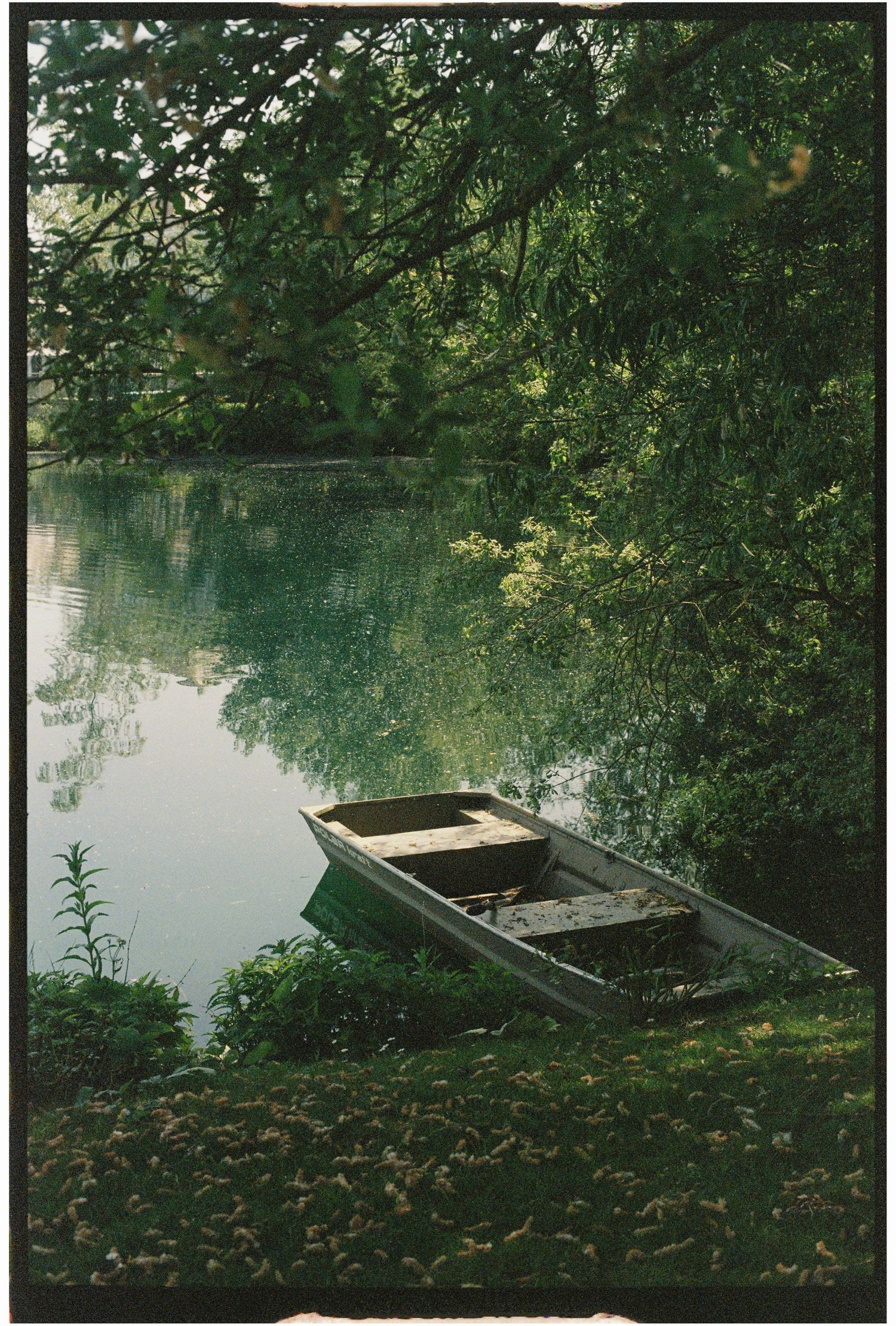 A weathered wooden rowboat resting on a lush green riverbank surrounded by overhanging trees reflecting on calm water.