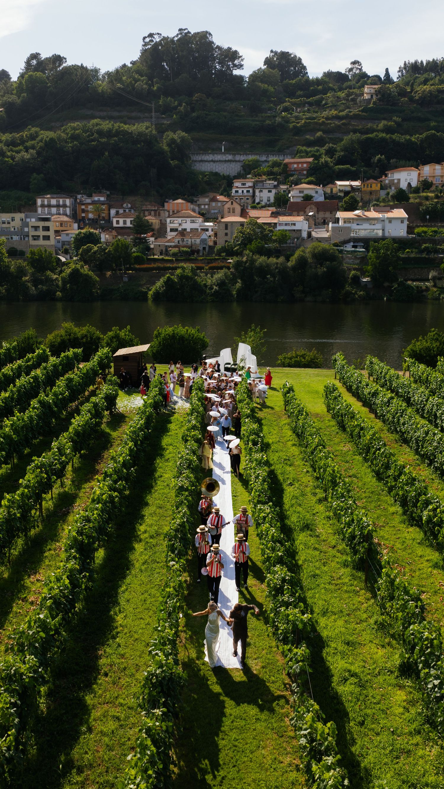 Aerial view of wedding procession walking along a white aisle through lush vineyard rows beside a river.