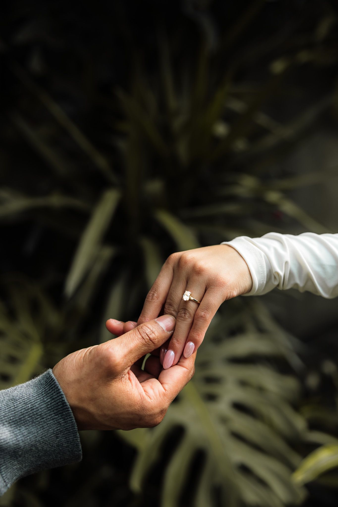 A man places a diamond engagement ring on a woman's finger amid lush tropical greenery.