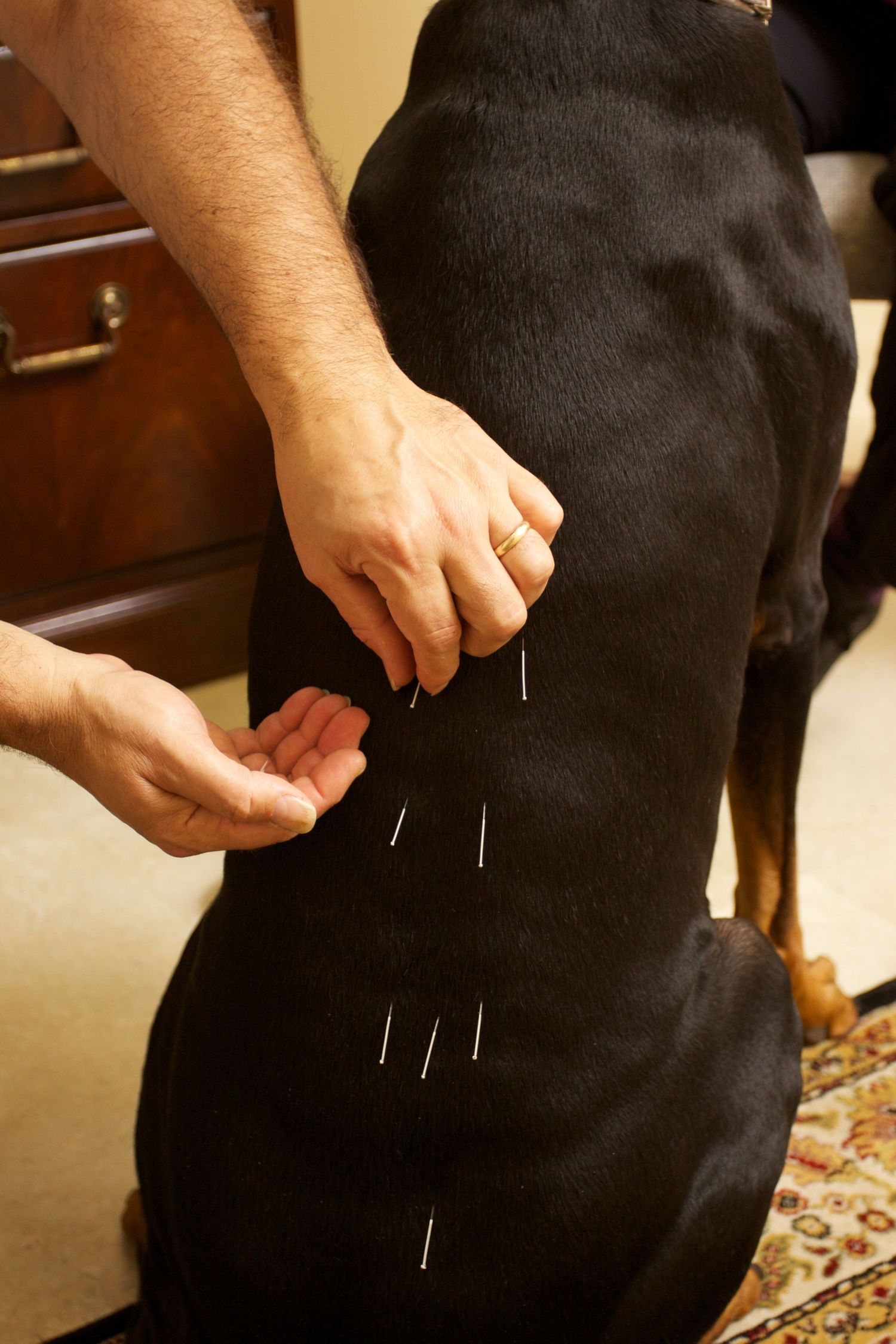 Close-up of hands adjusting pins on a black garment during a fitting or alteration.