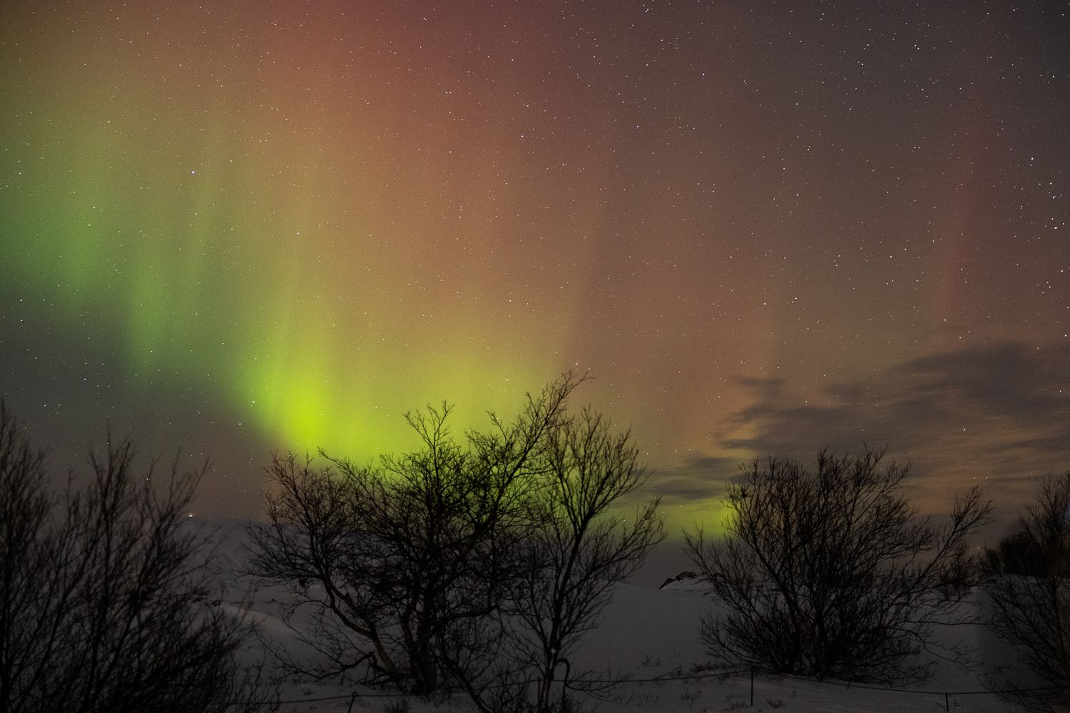 Aurora borealis lighting up night sky with green and purple colors over dark landscape.
