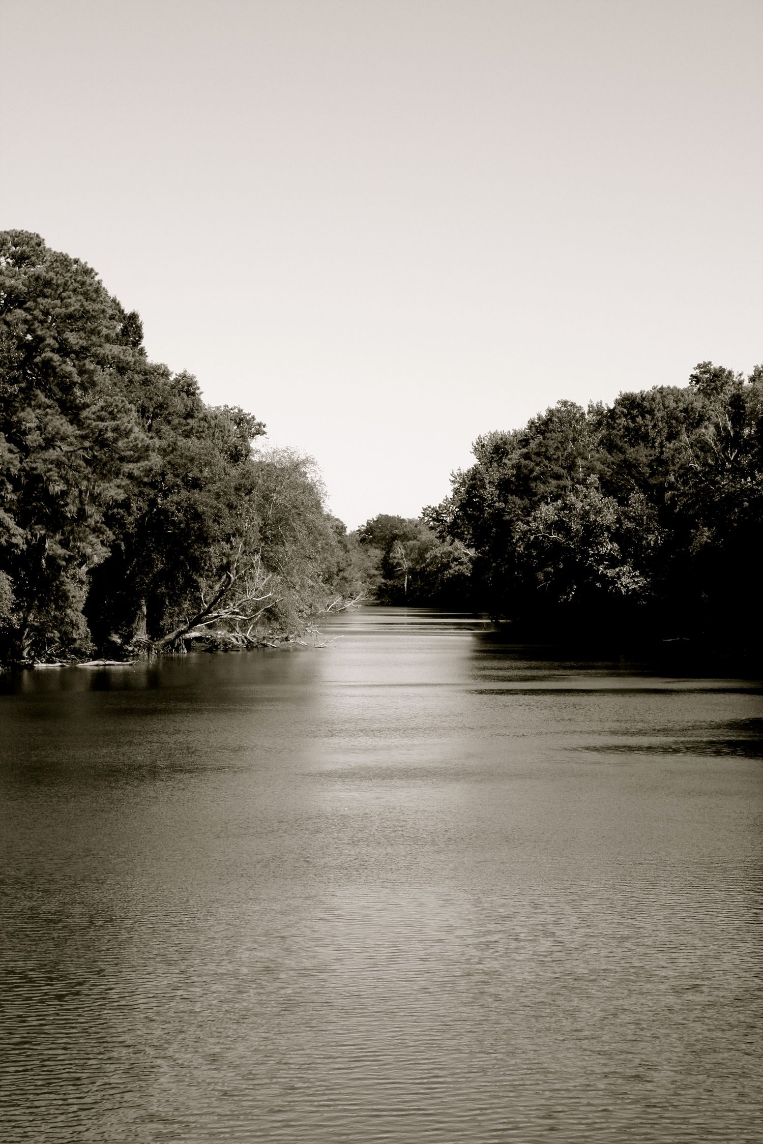 Serene black and white landscape of a river winding through tree-lined shores.