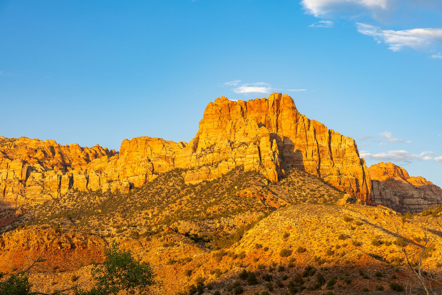 Golden cliffs of Zion National Park glowing in warm sunlight against blue sky.