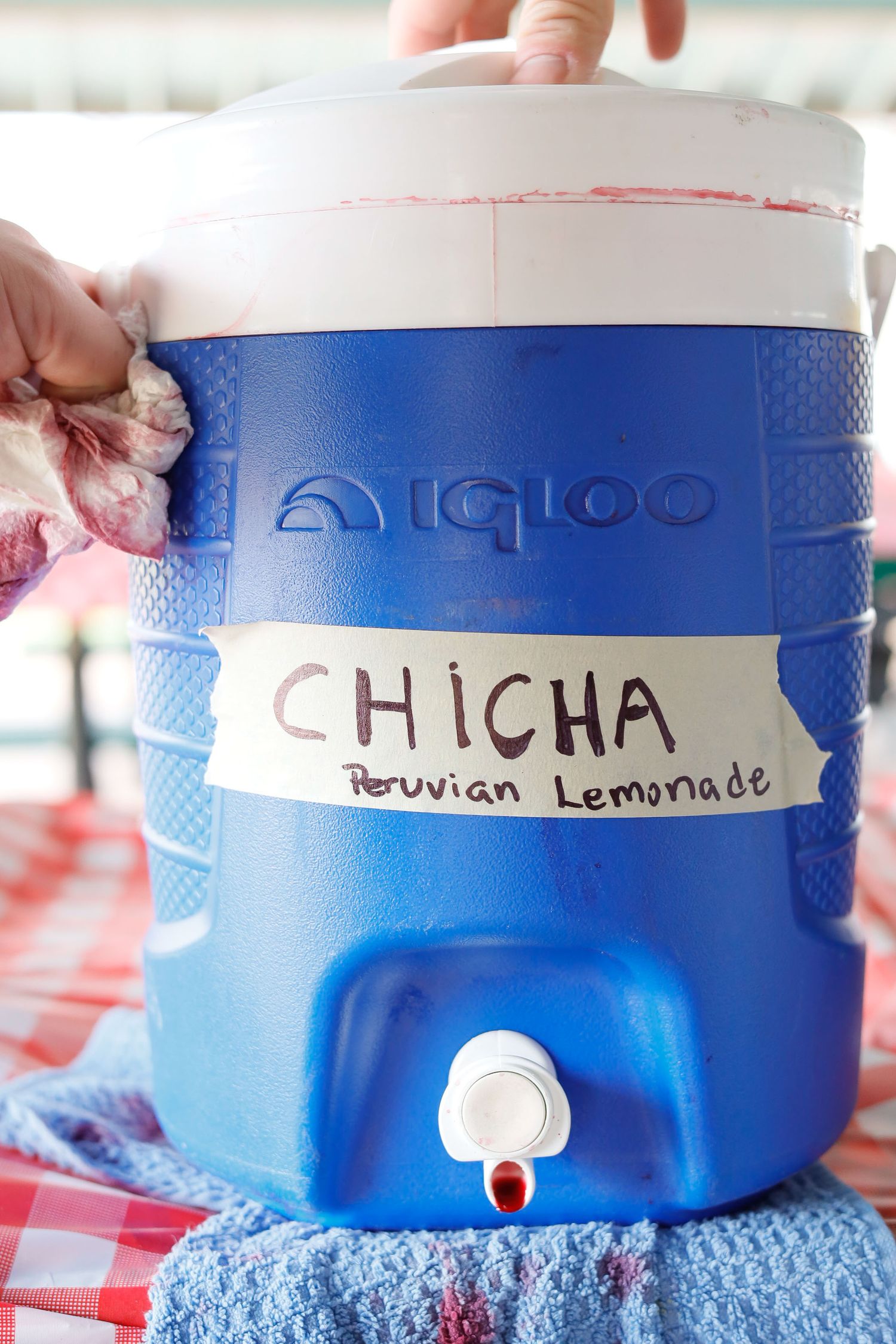 spring picnic chicha lemonade