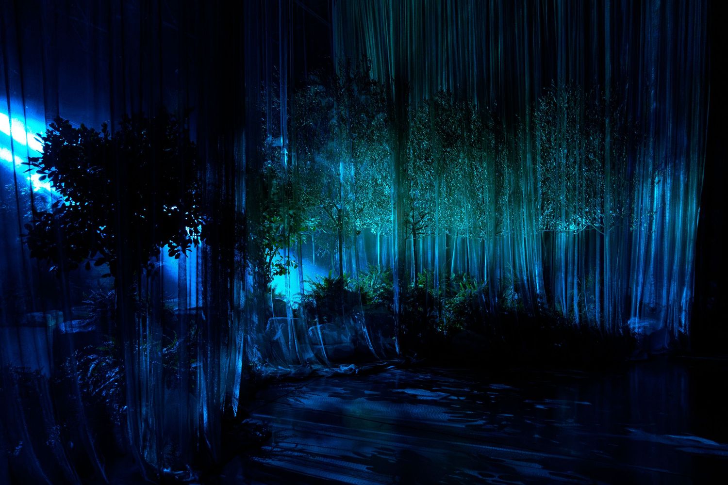 Ethereal blue lighting creates a mystical atmosphere in a dark forest setting.