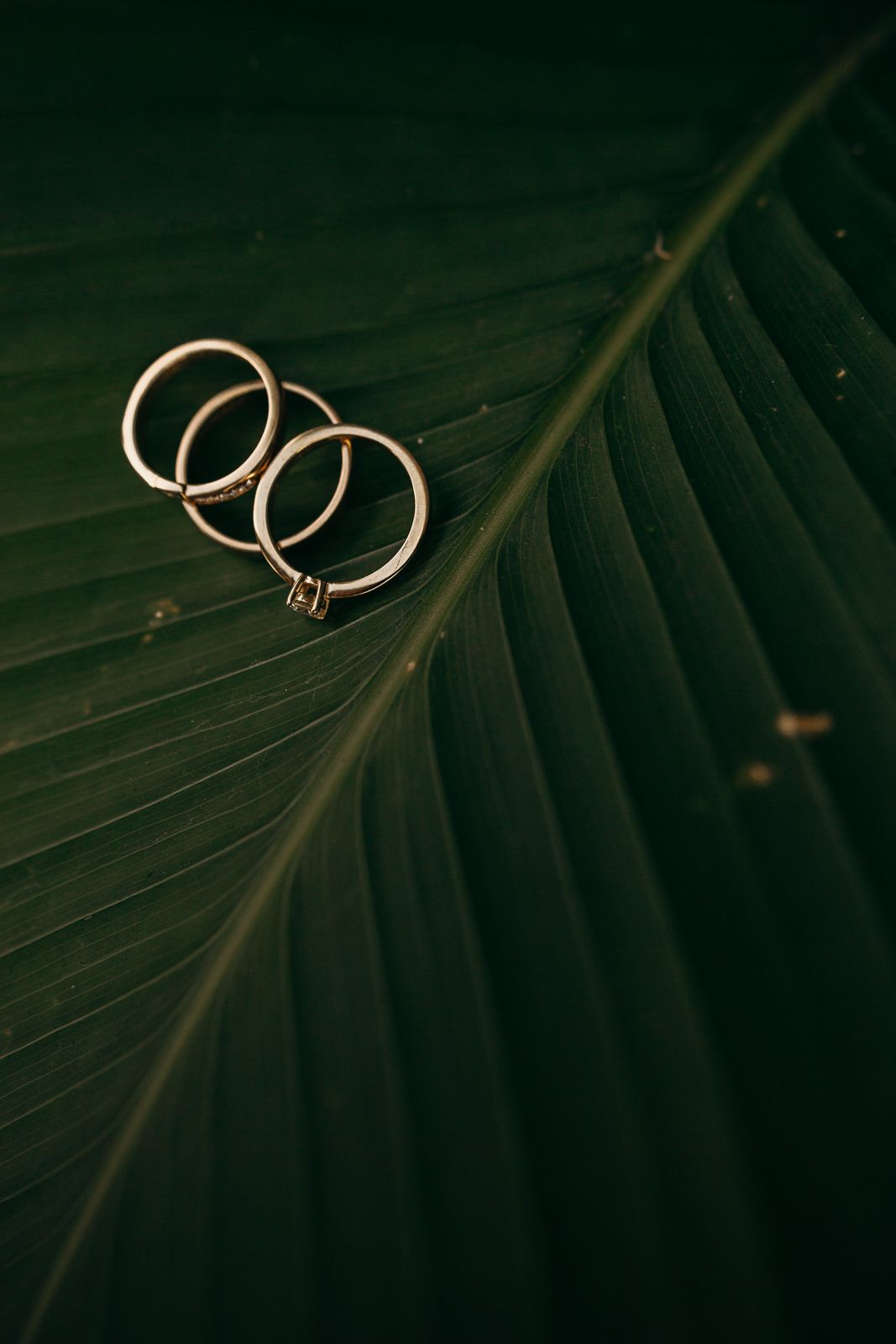 boda destino, colombia medellin wedding destination, fotografo de bodas