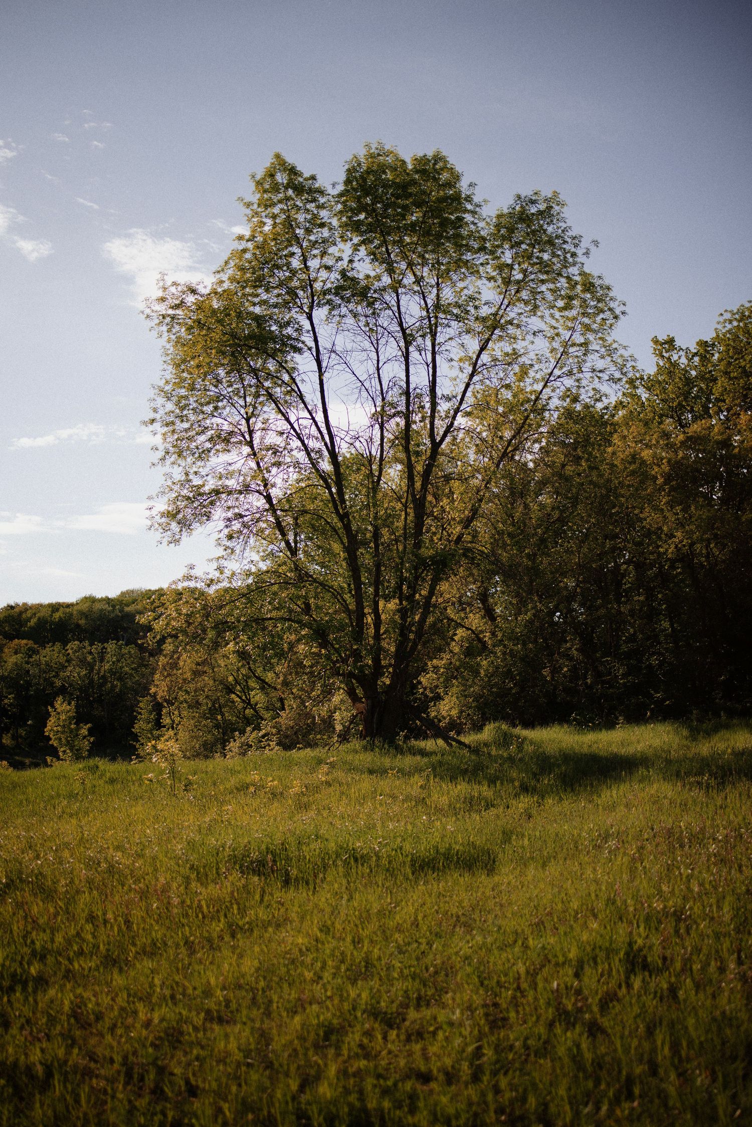 Fergus Falls Couple Photographer
