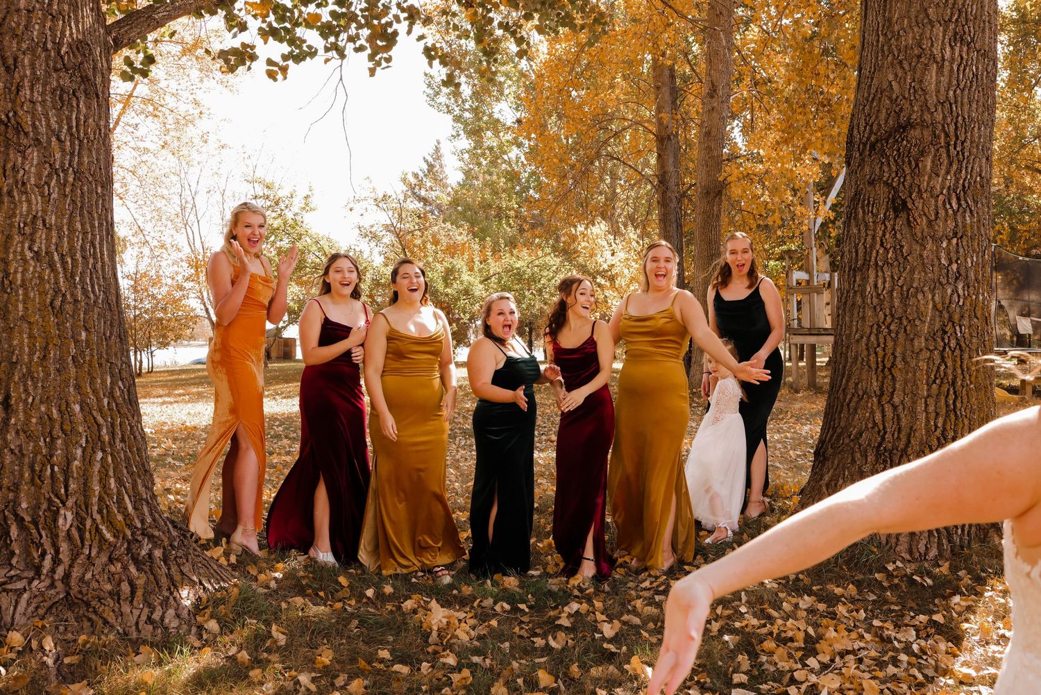 Central Minnesota Wedding Photographer