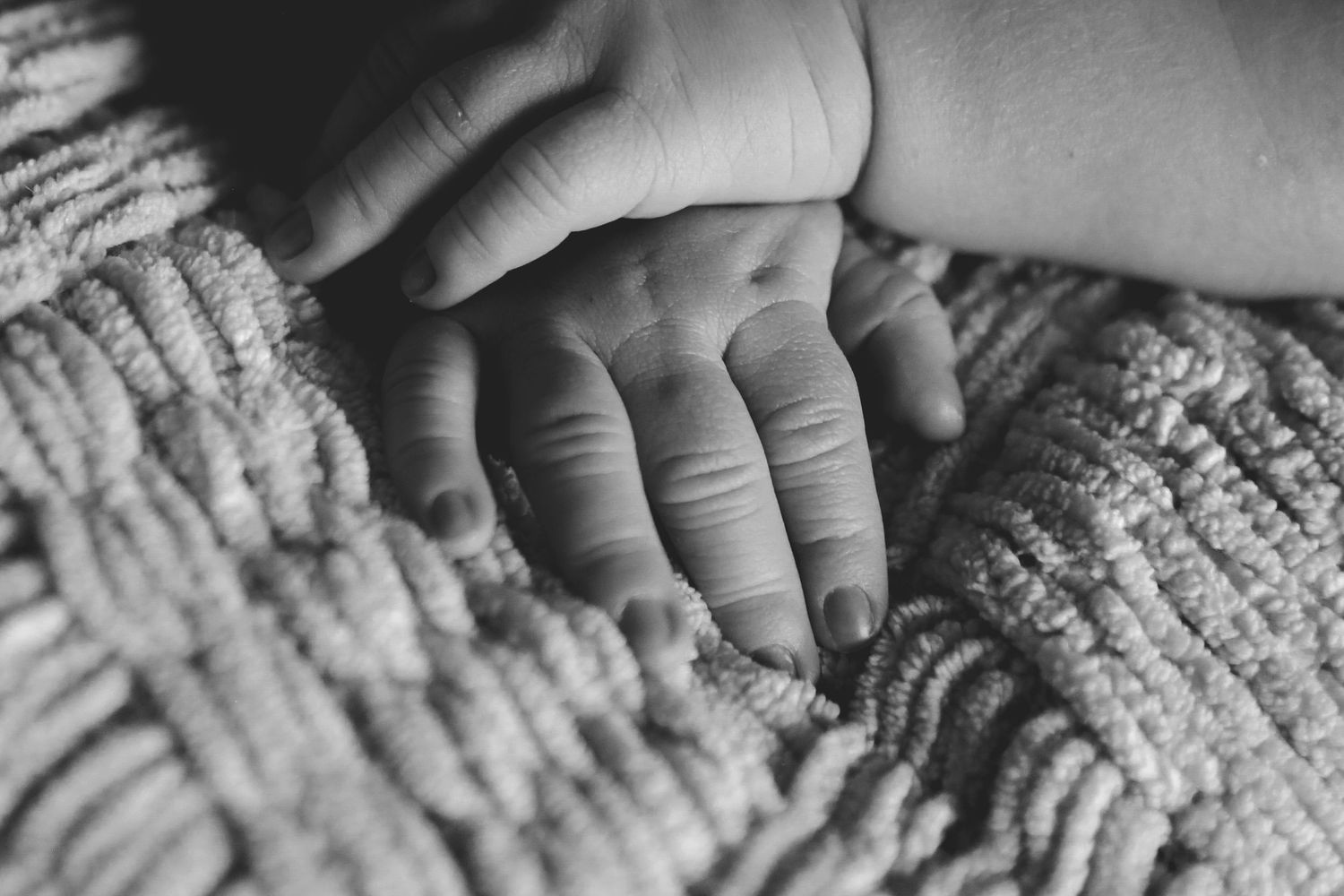 Fergus Falls family photographer.