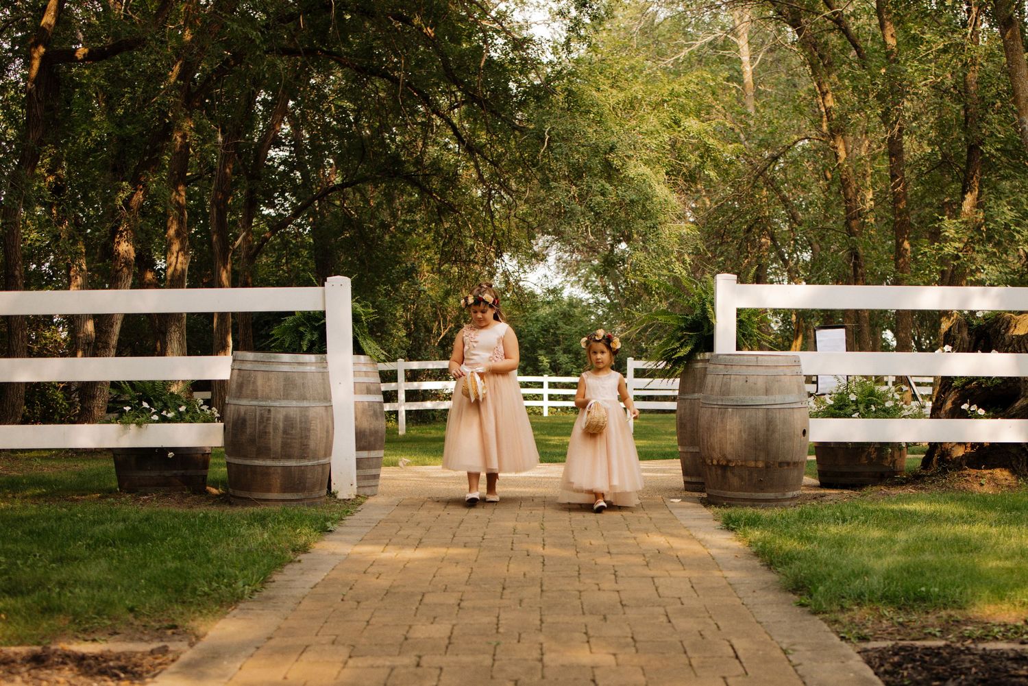 Alexandria Wedding Photographer