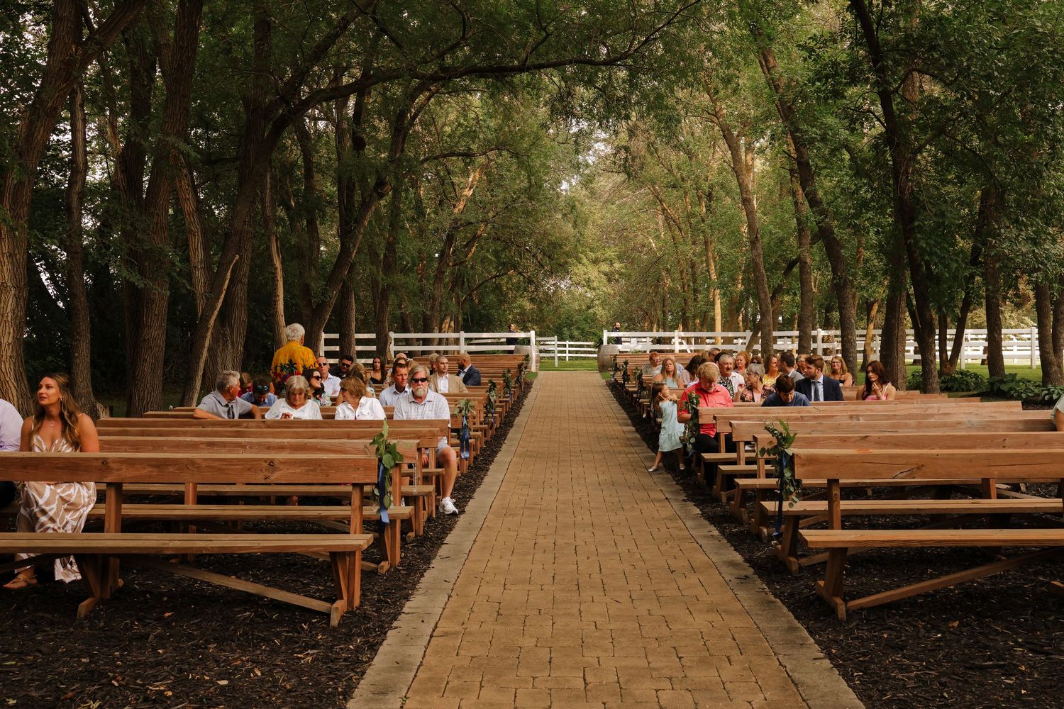 Alexandria Wedding Photographer