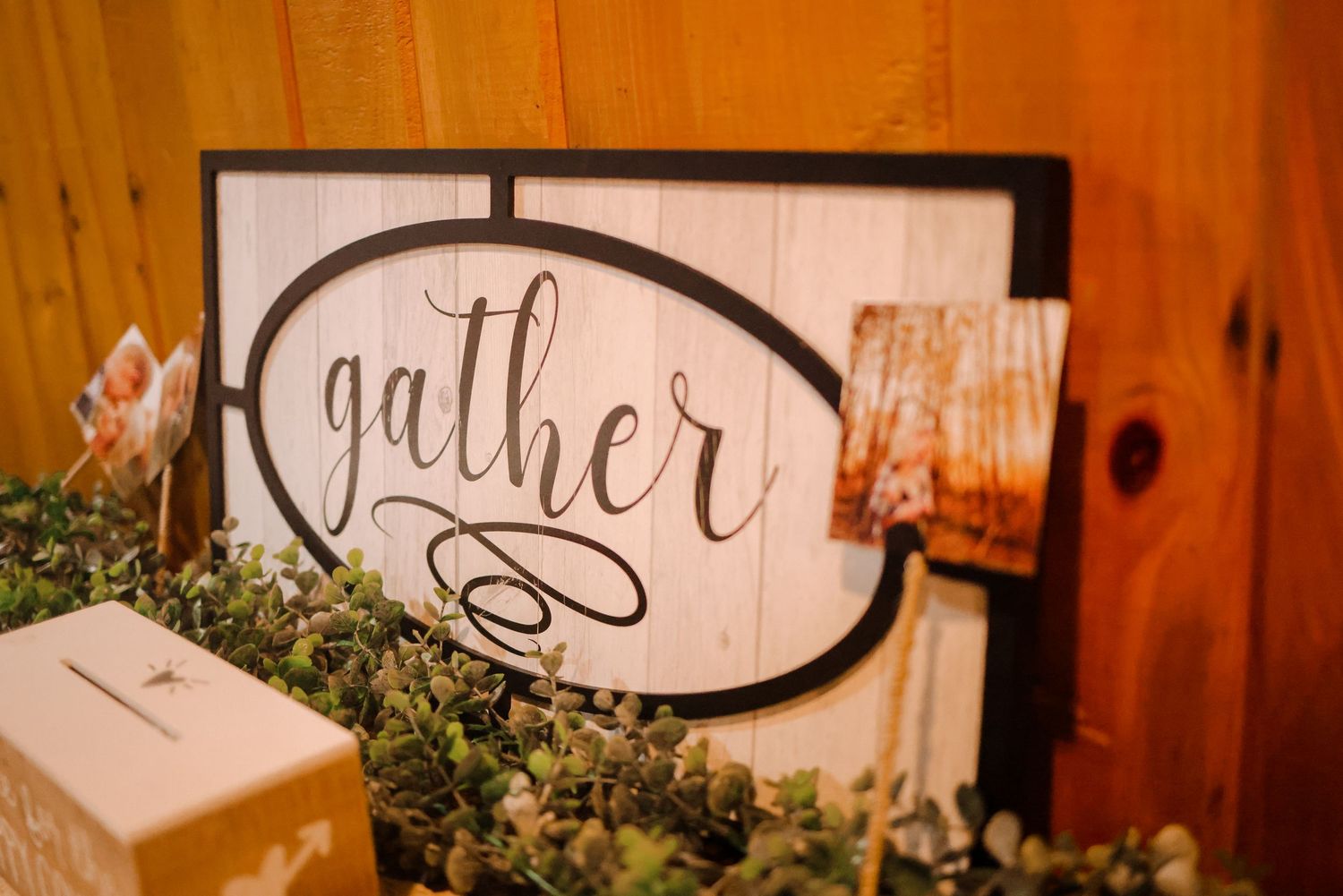 Minnesota Wedding Photographer